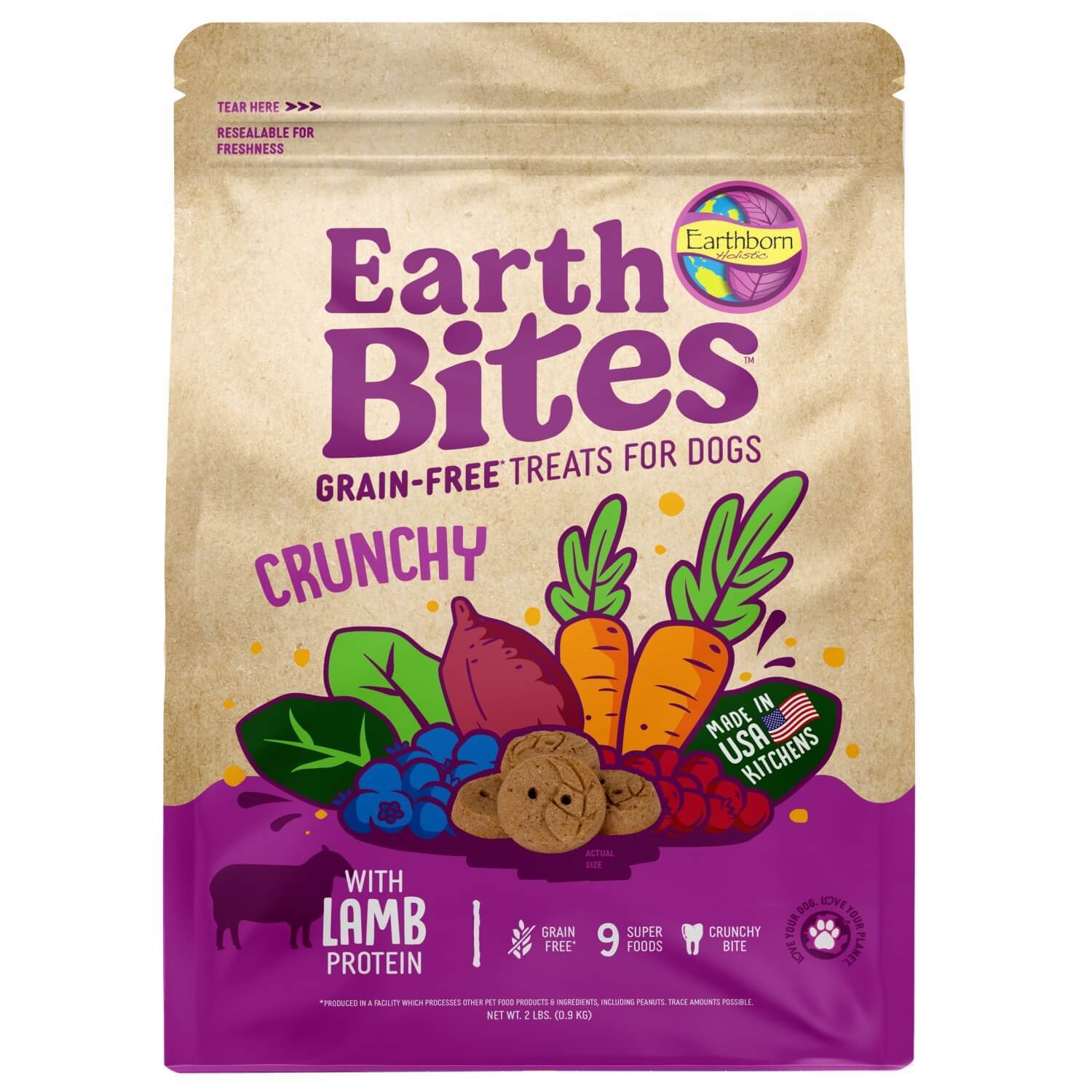 Earthborn Holistic Earthbites Lamb Grain-Free Crunchy Dog Treats, 10-Oz