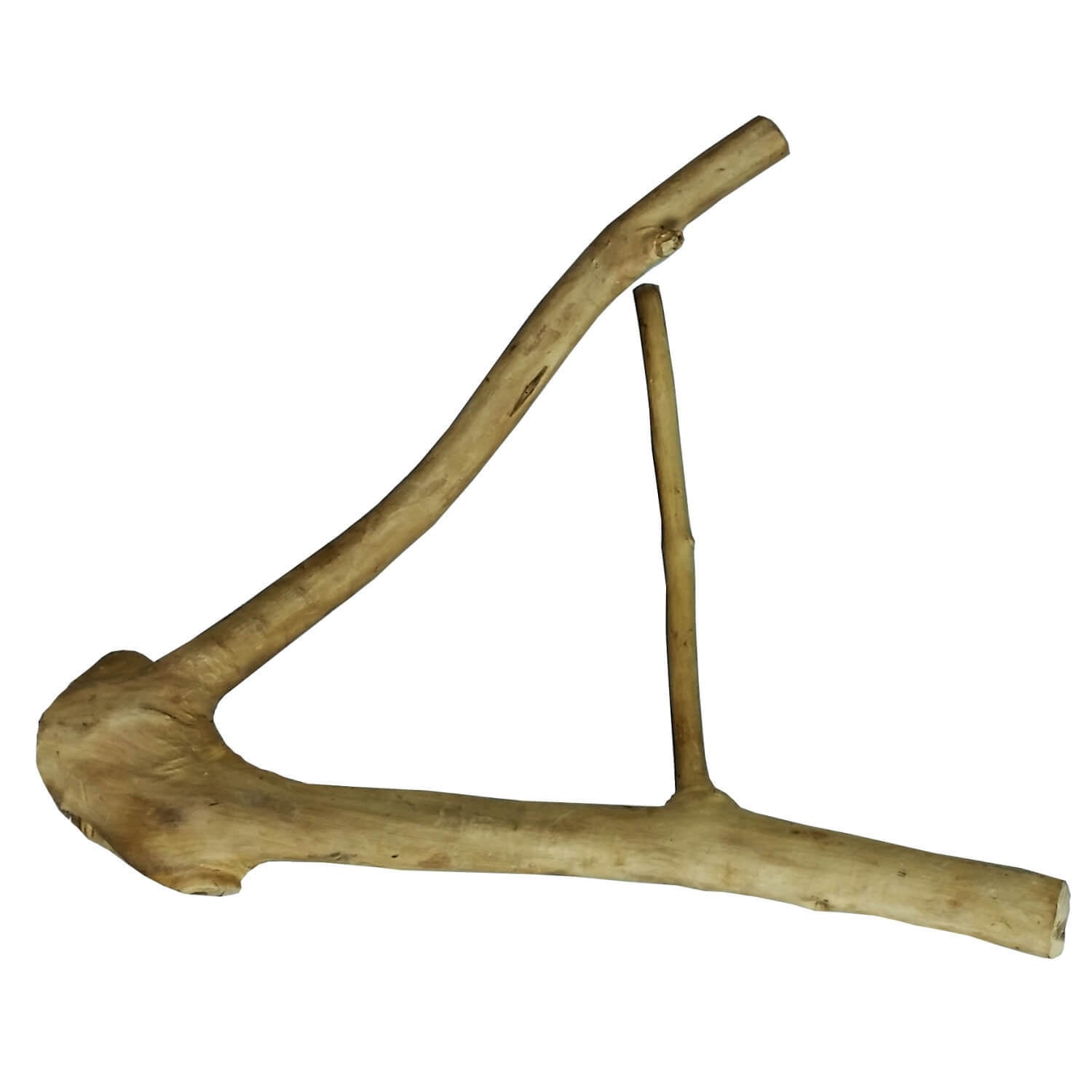 A&E Cage Small Java Wood Multi Branch Perch For Birds