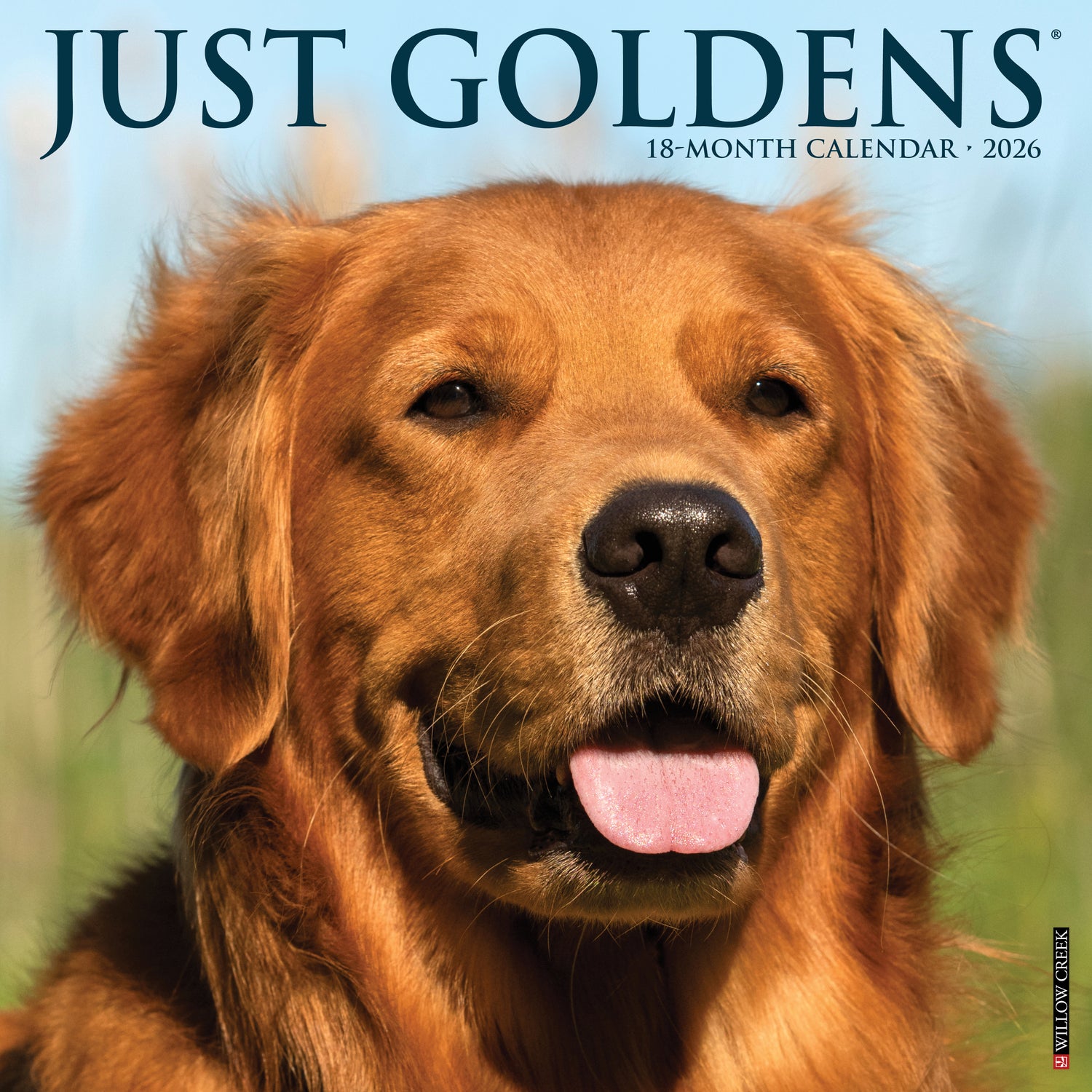 Willow Creek Press 2026 Goldens Wall Calendar