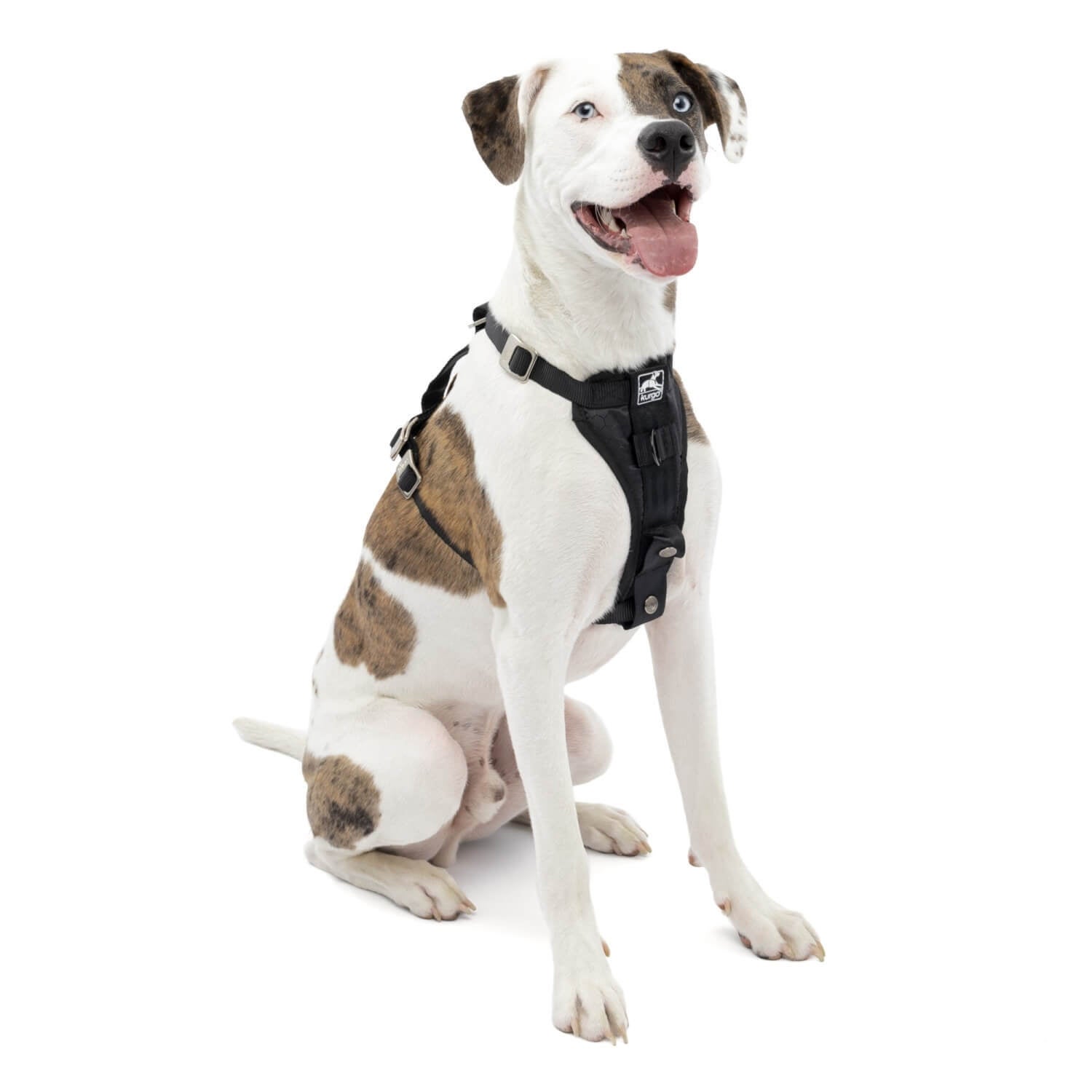 Kurgo Tru-Fit Smart Dog Harness, Enhanced Strength, Black