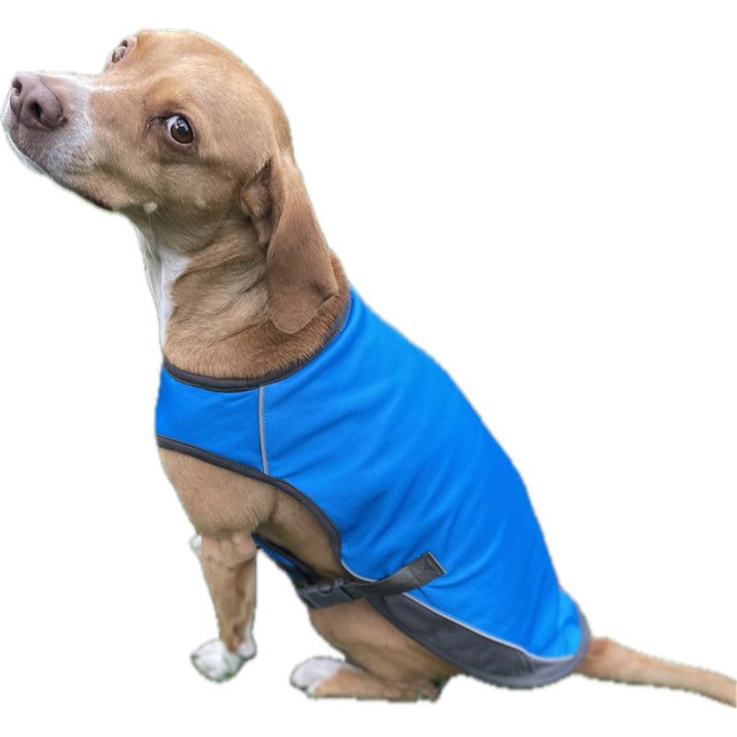 Unique Petz Dog Cooling Vest - Large, Blue