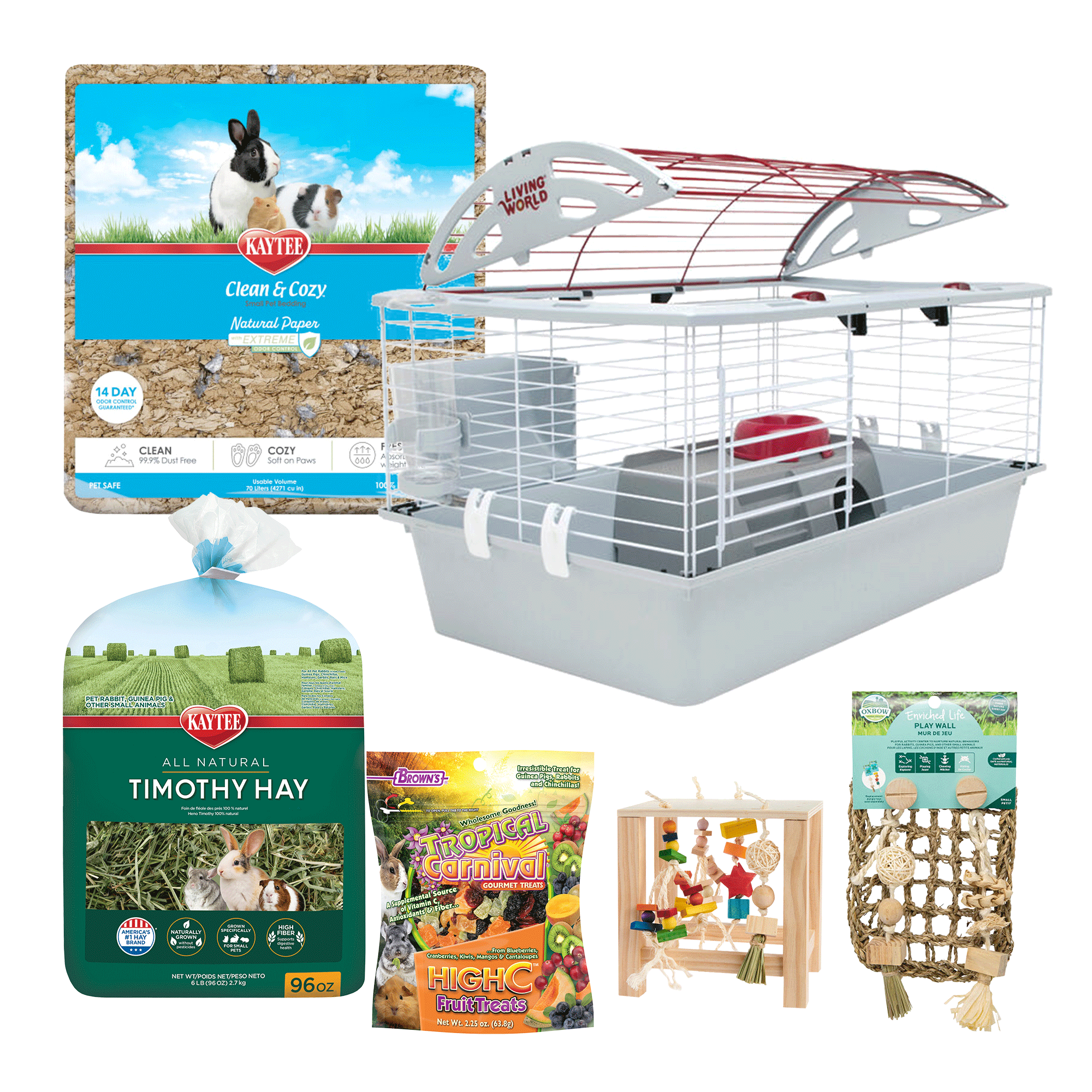 Guinea Pig Starter Set