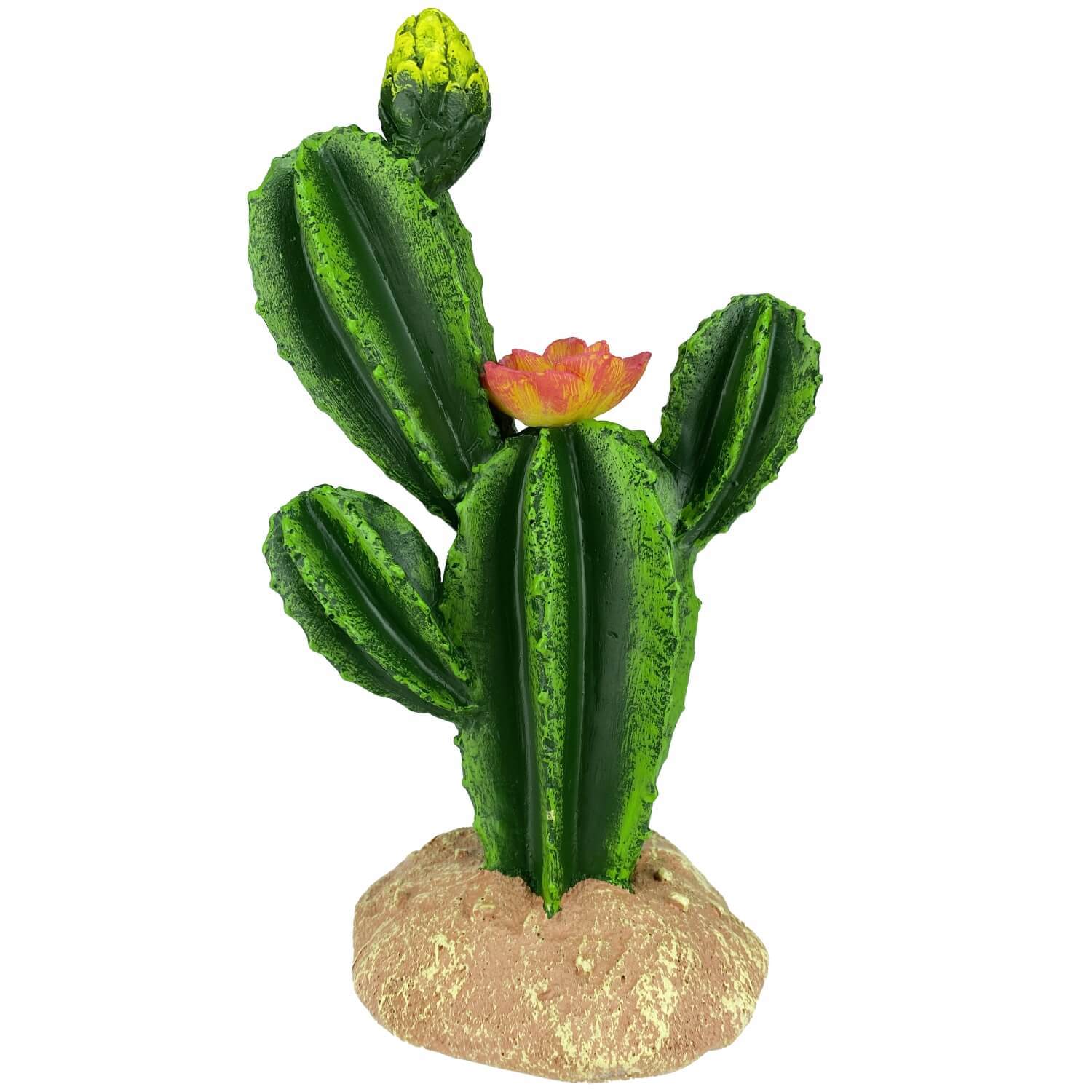 Komodo Flower Cactus For Reptile Enclosures