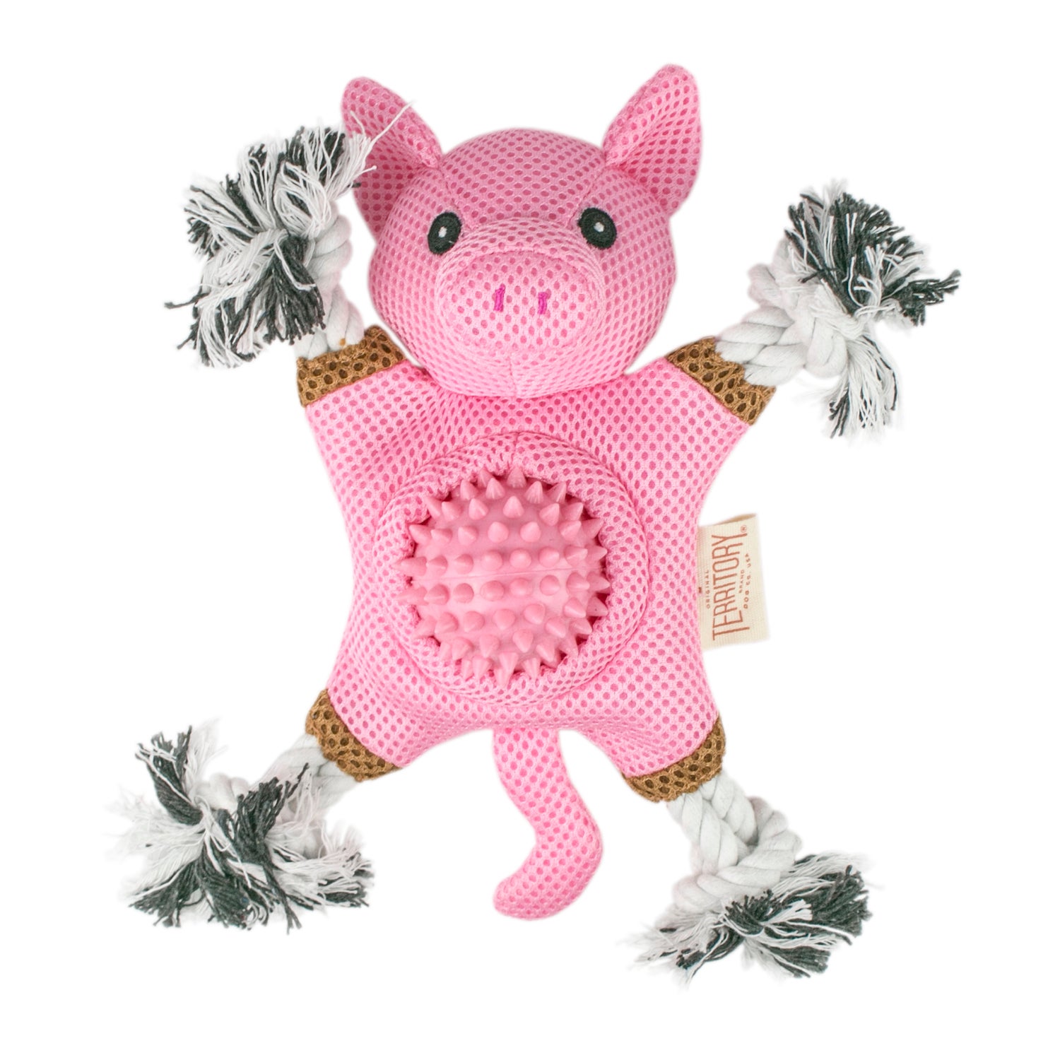 Territory Pig 2-In-1 Fetch & Tug Dog Toy, 10