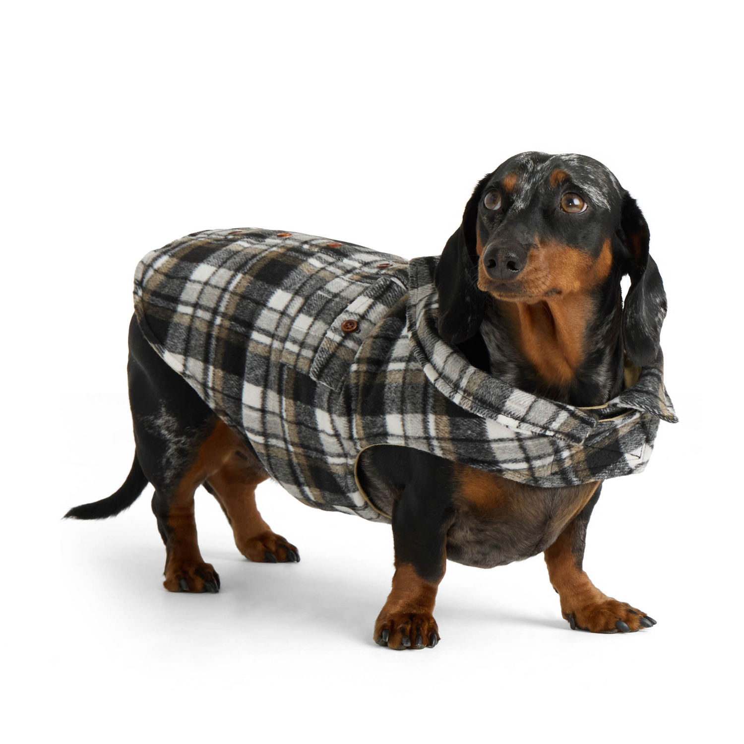 Aristopet Check Melton Plaid Shacket Dog Shirt-Jacket, Large