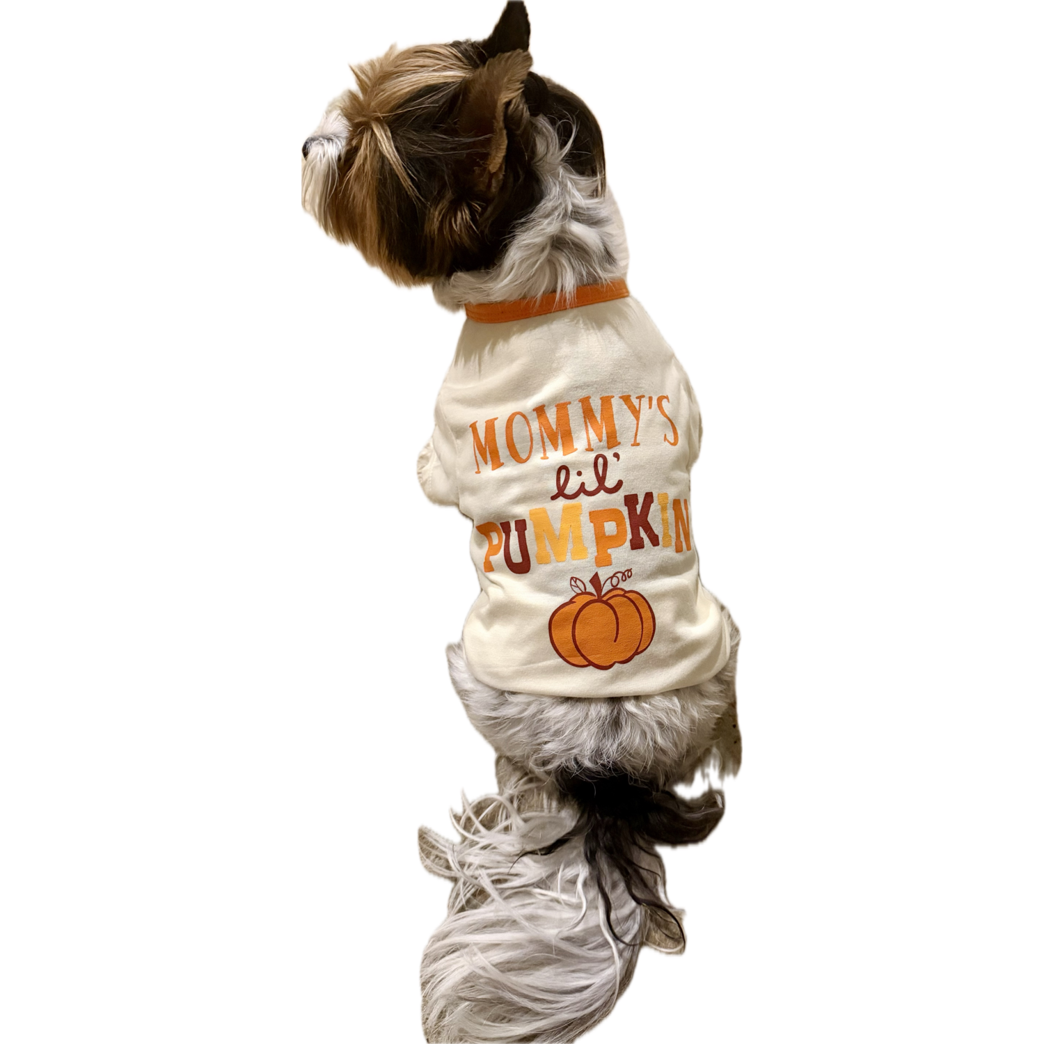 Aristopet Orange Mommy's Lil Pumpkin Dog Shirt, Extra Small