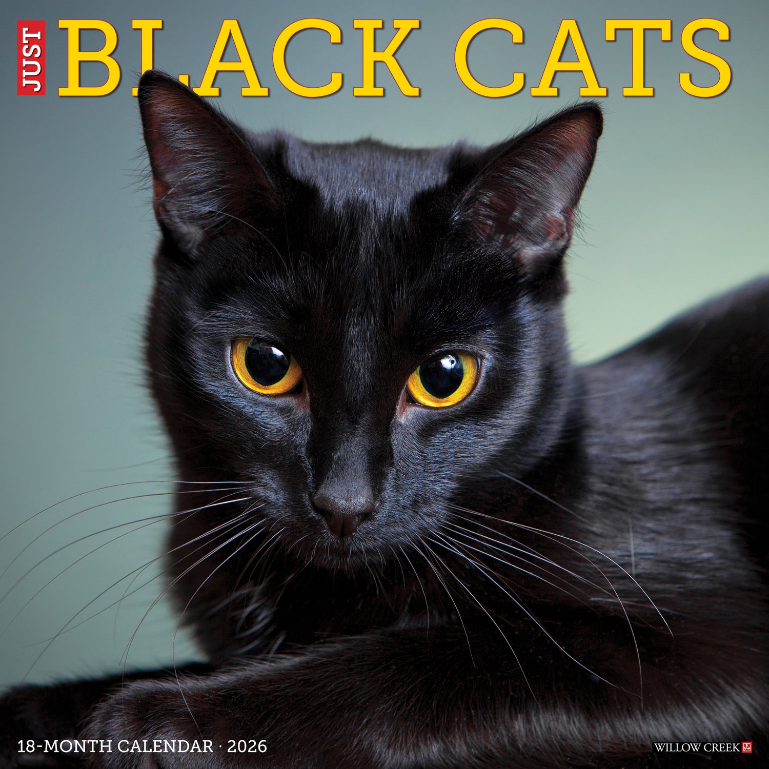 Willow Creek Press 2026 Black Cats Wall Calendar
