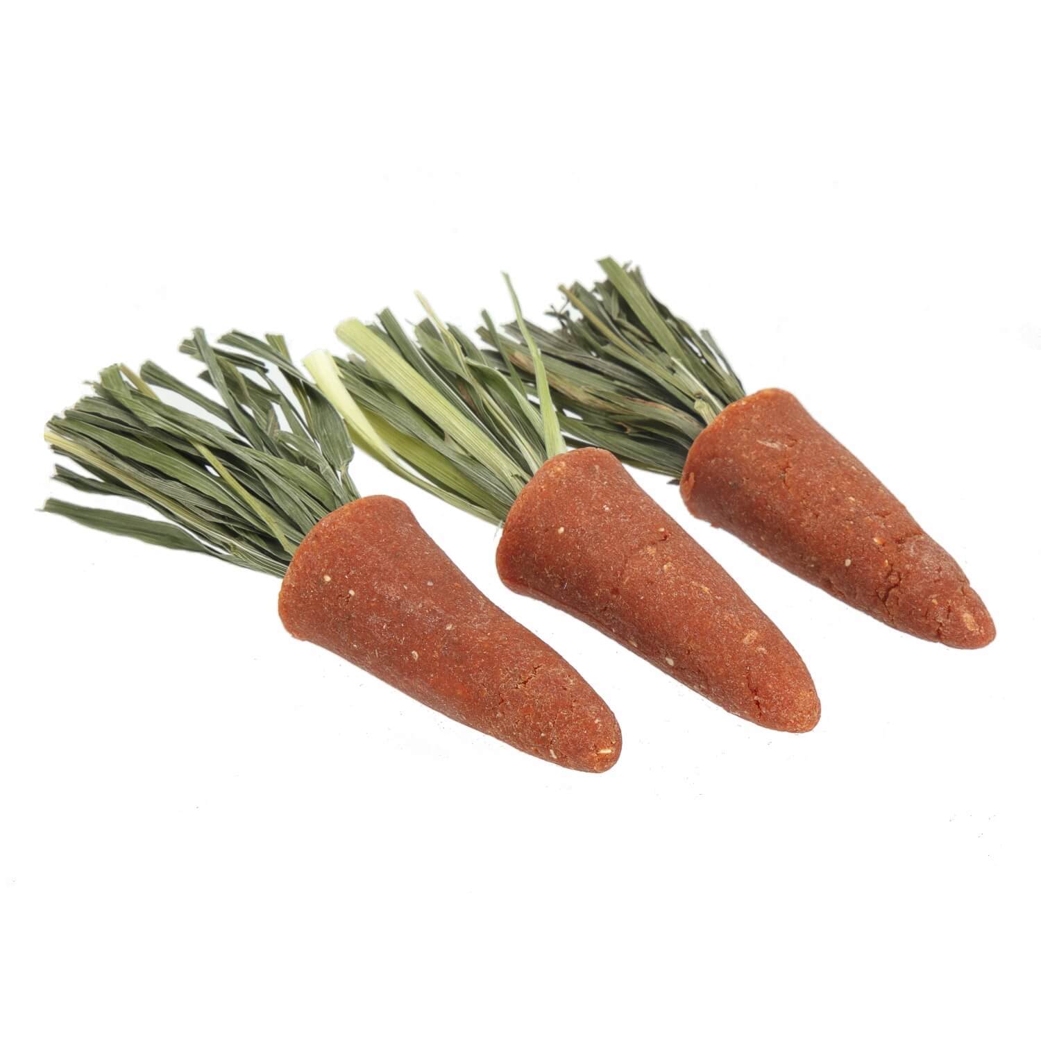 Ware Pet Products Health-E Karrots For Small Animals