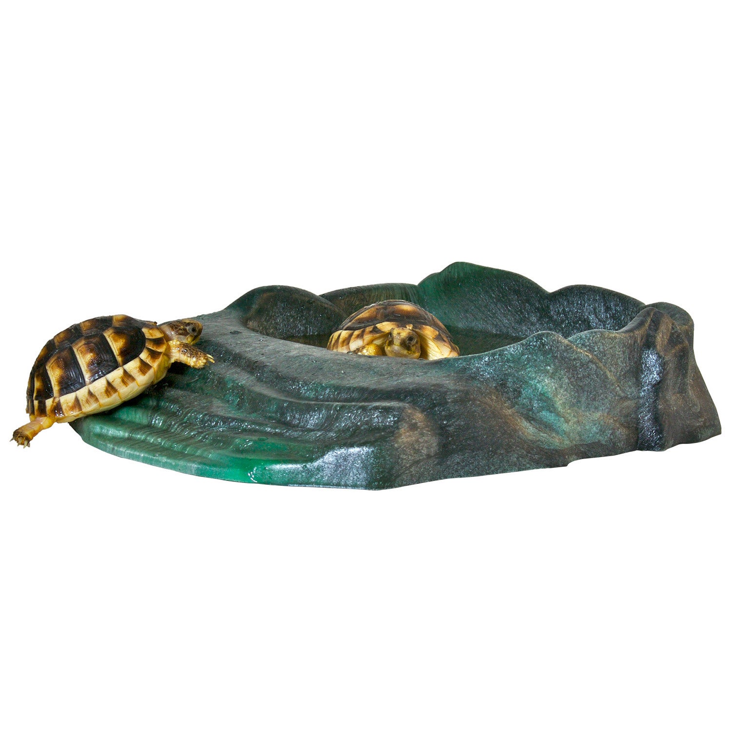 Zoo Med Repti Ramp Bowl