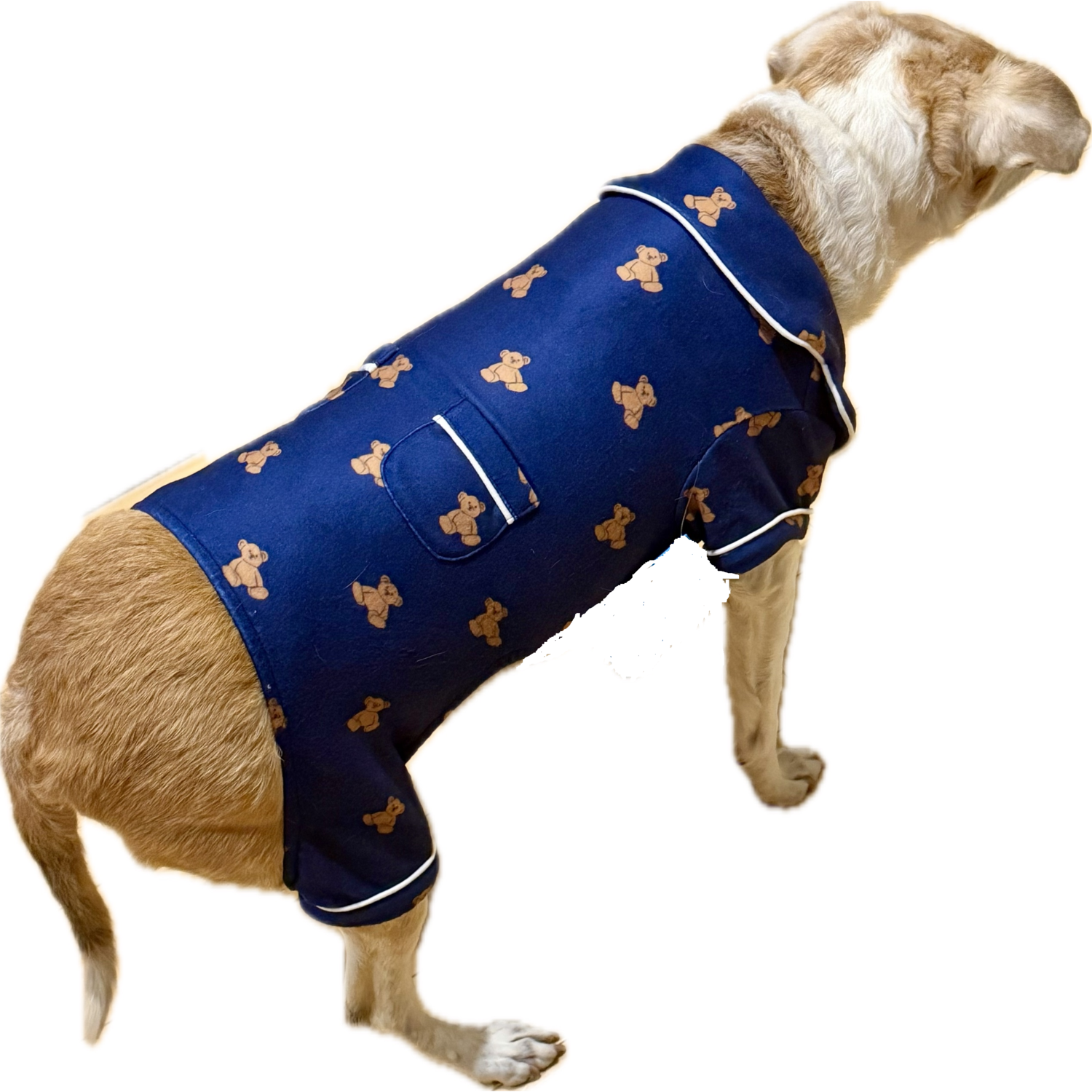 Aristopet Blue Teddy Bear Print Dog Pajamas, Extra Large