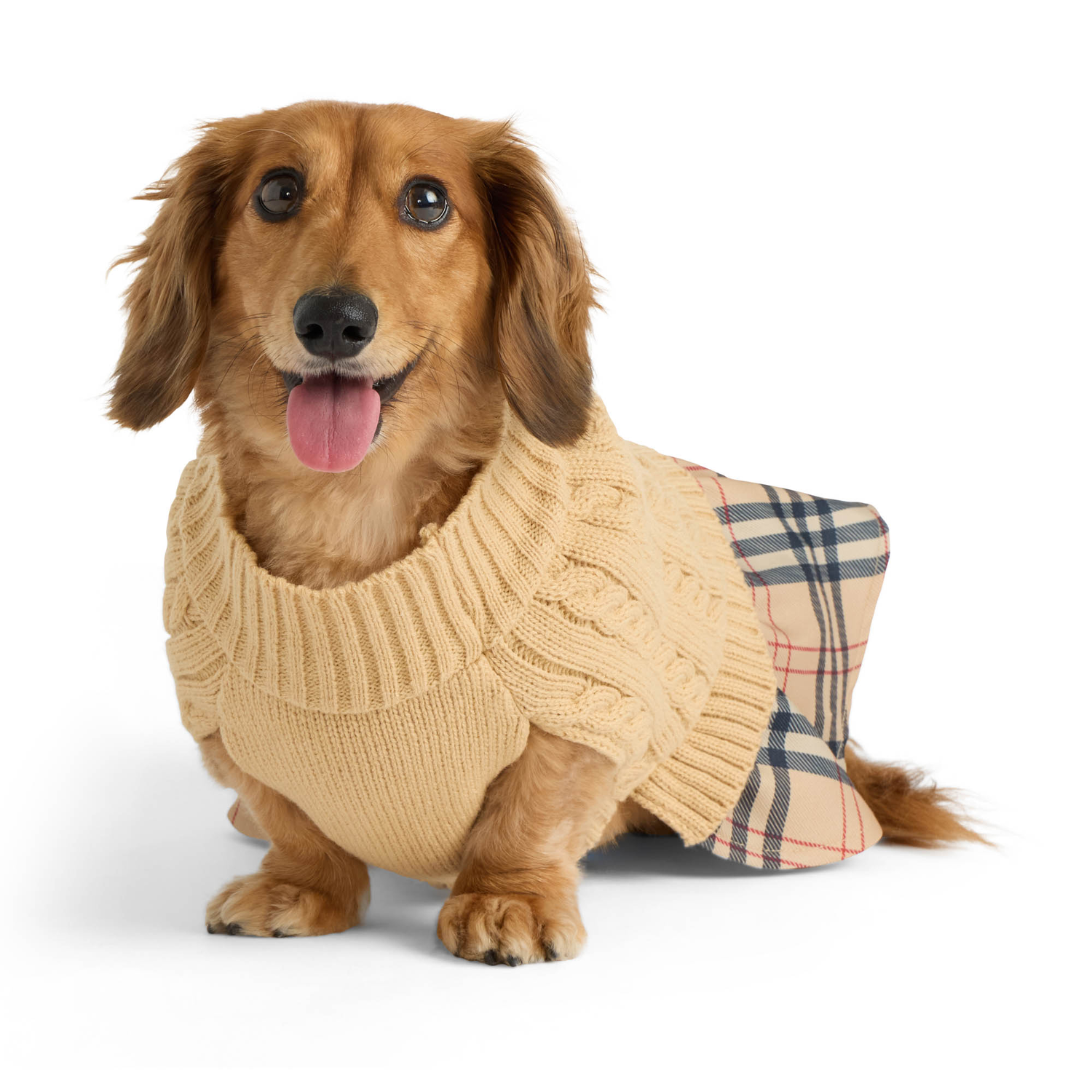 Aristopet Cable Sweater Dog Dress With Plaid Twill Skirt, Small