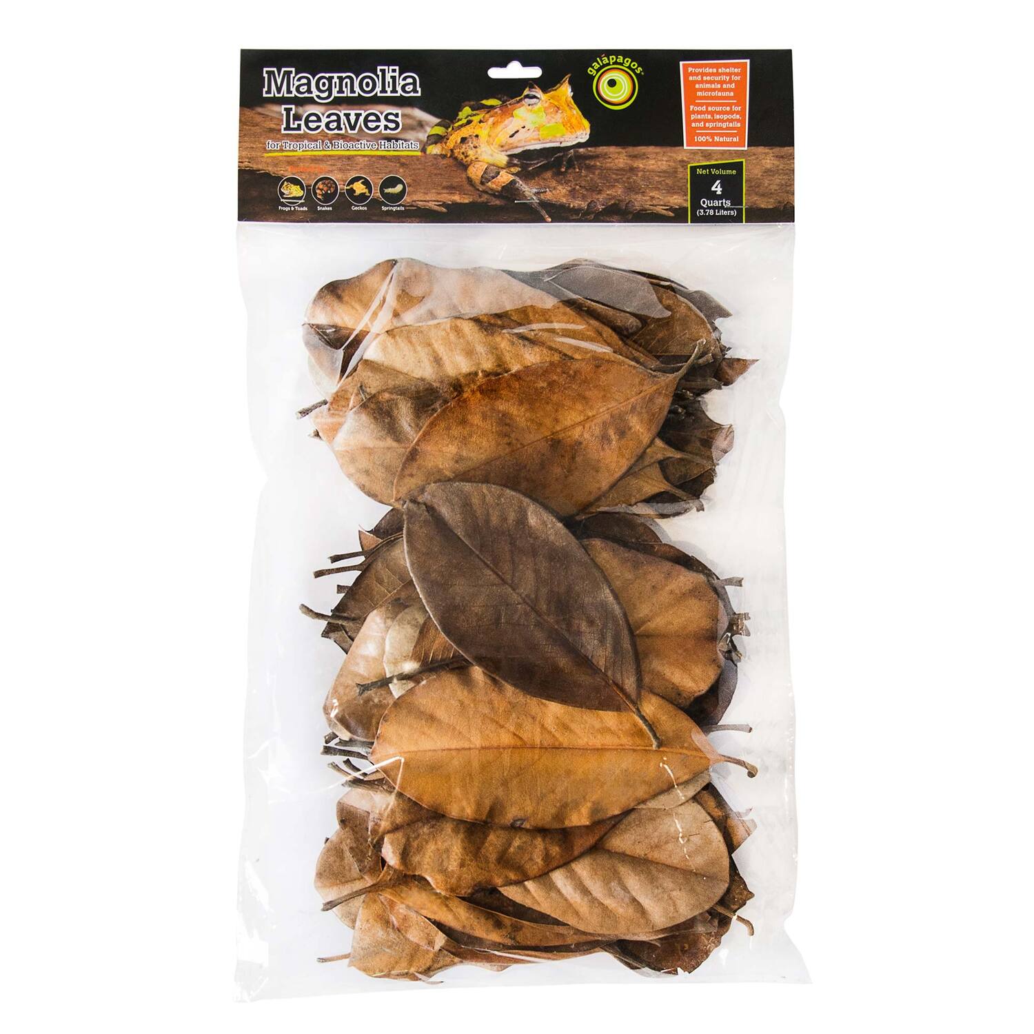 Galápagos Magnolia Leaves, Natural, 4Qt Header Bag