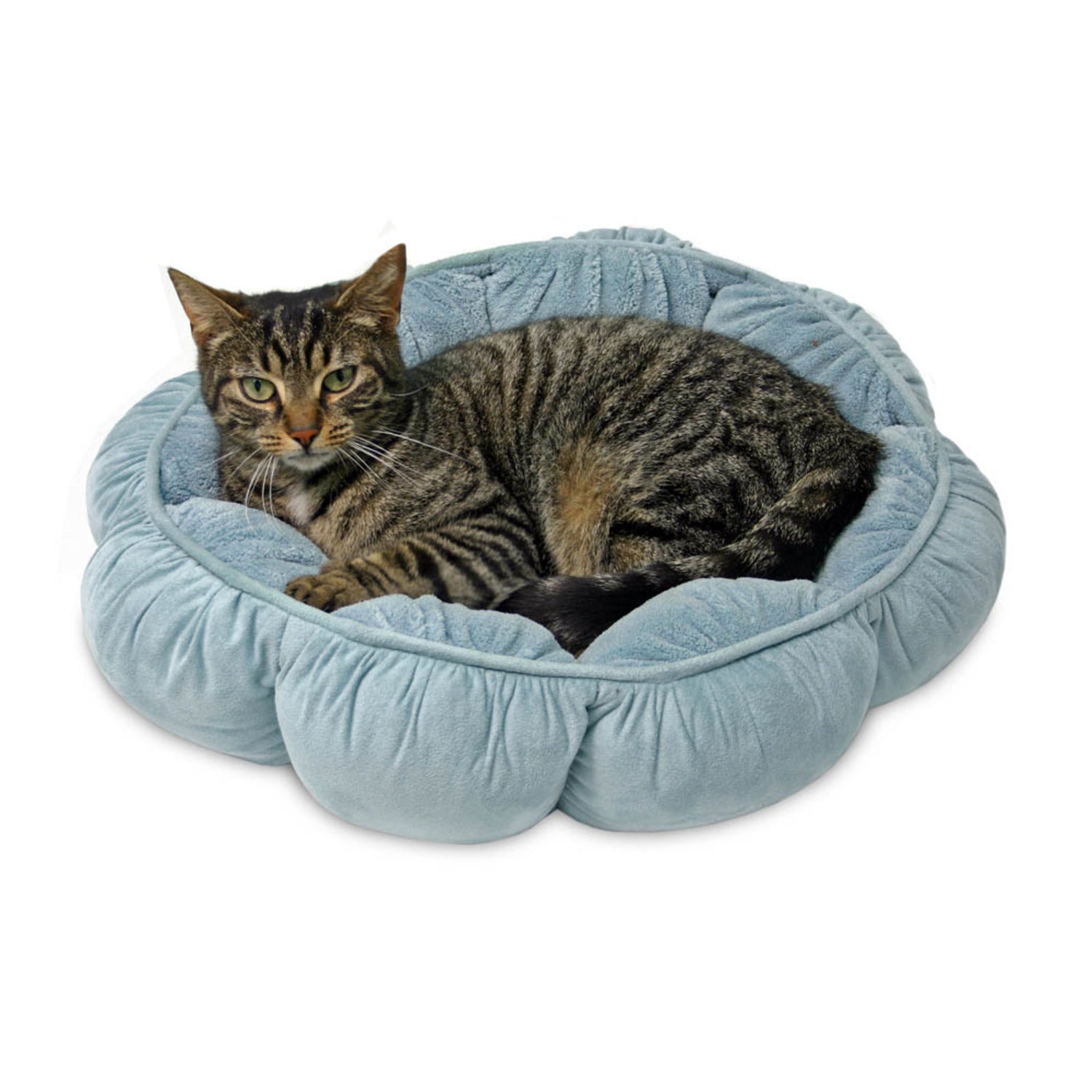 Aspen Pet Puffy Round Cat Cuddler Bed, 18 - Assorted Colors