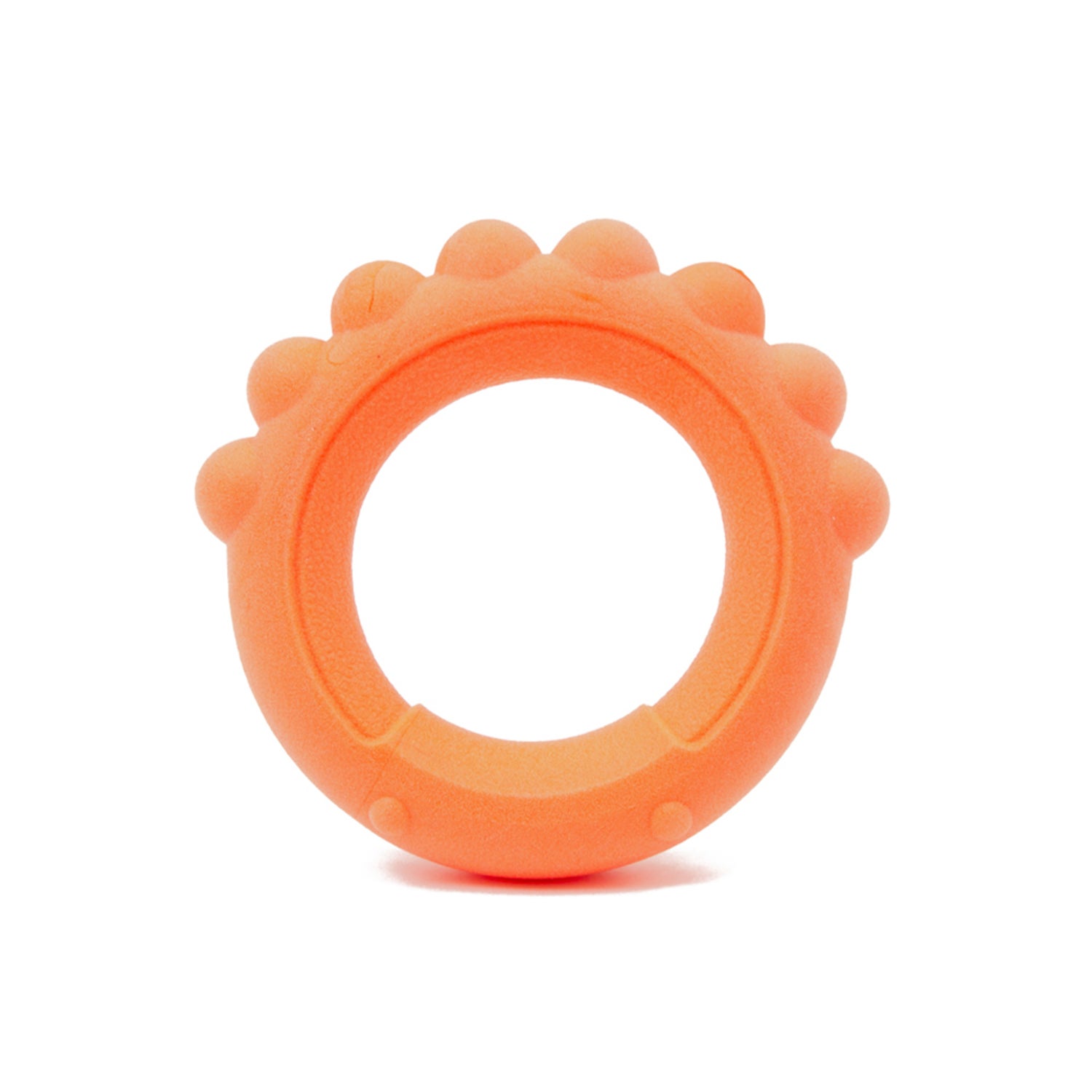 Frubba Scent Octo Ring Scented Dog Toy