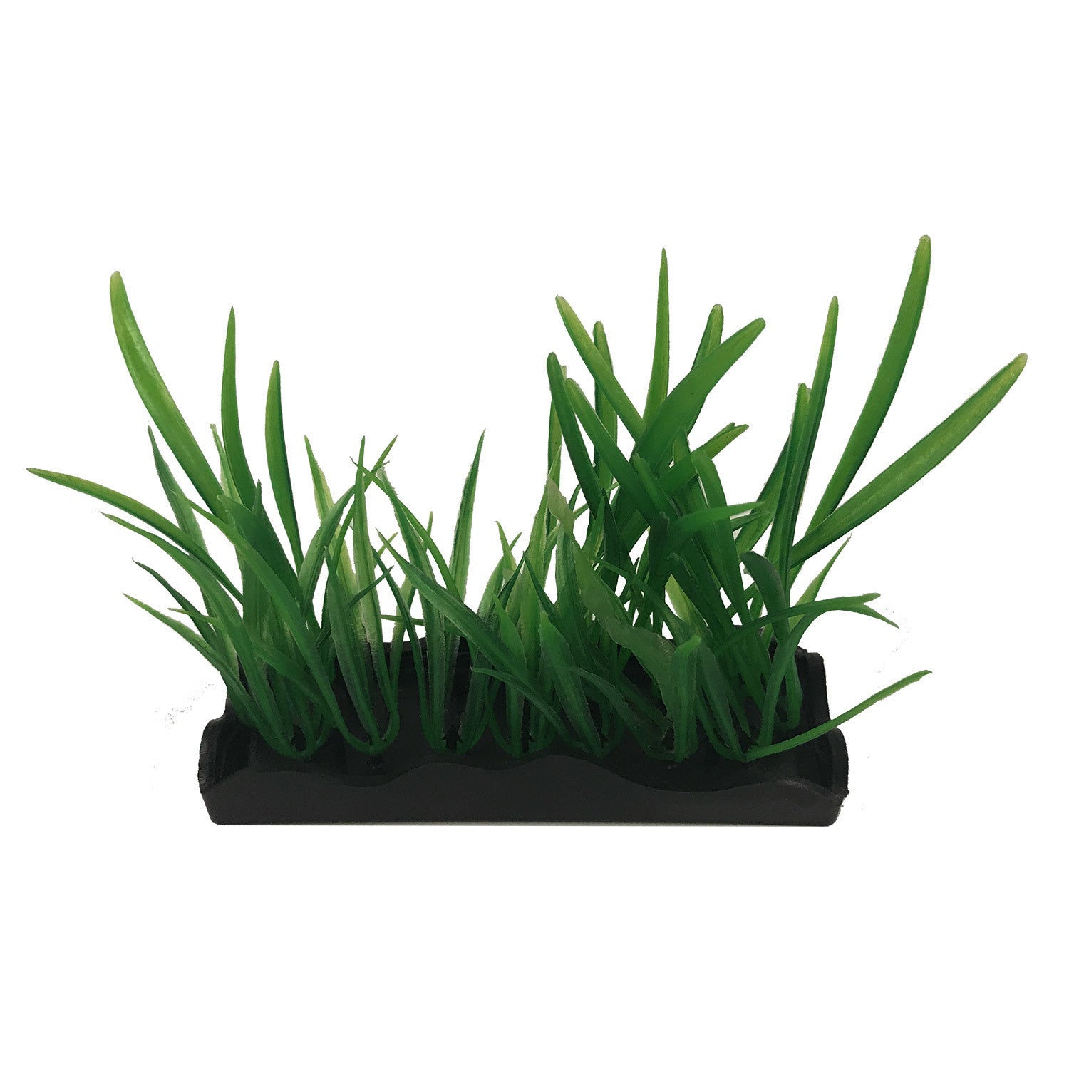 Penn-Plax Aquascaping Medium Hairgrass Bunch Plant Aquarium Plant