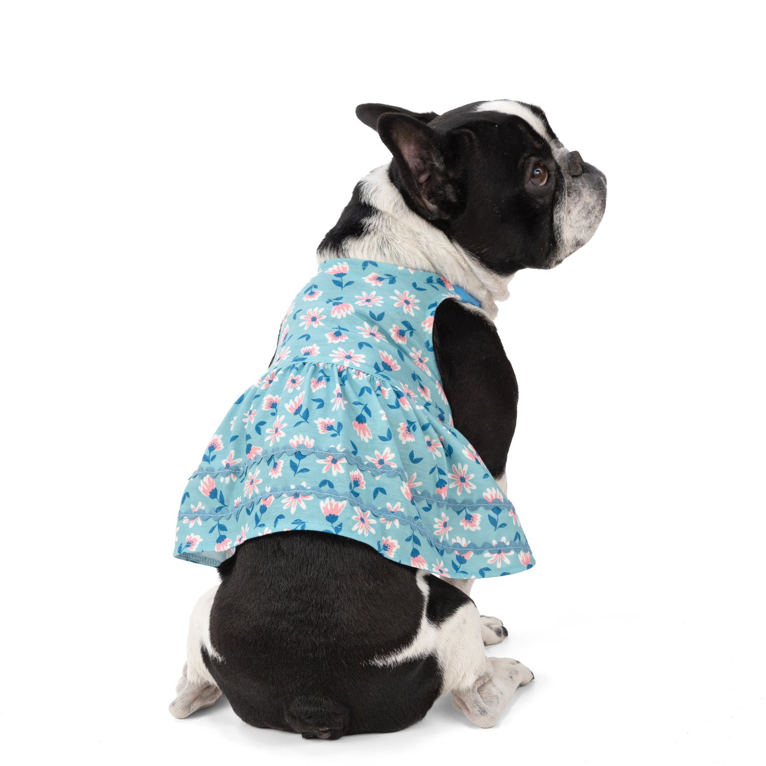 Simply Dog Blue Floral Dog Dress, Medium