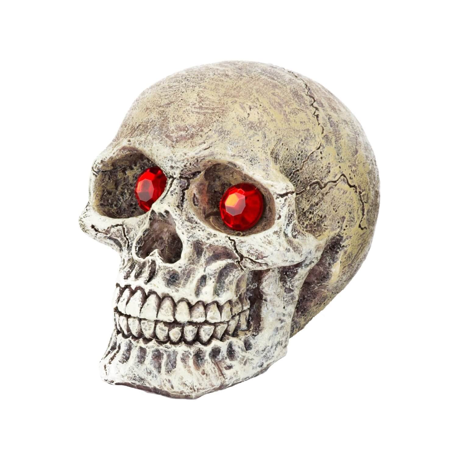 Penn-Plax Deco-Replicas Skull Gazers Aquarium Ornament