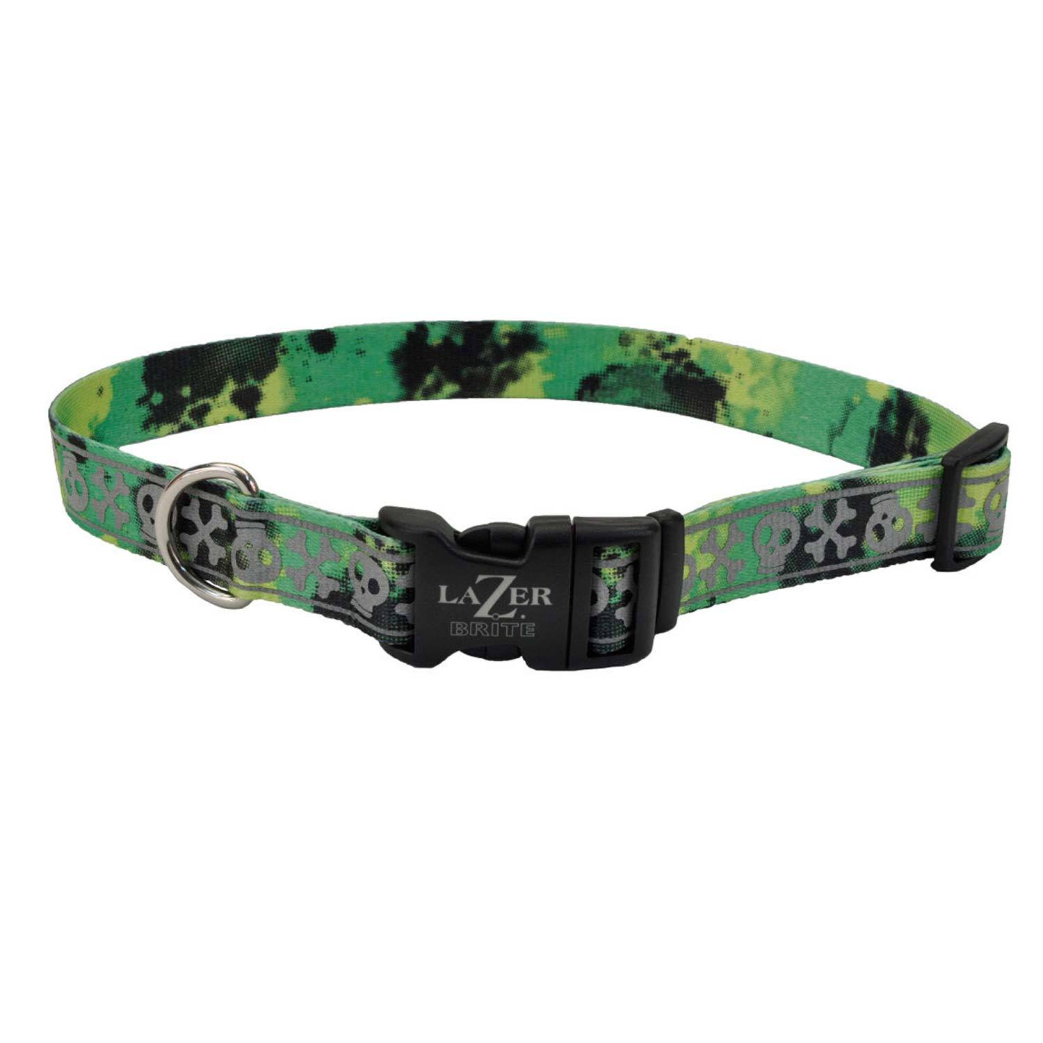 Coastal Pet Products Lazer Brite Patterned Dog Collar, Lime Skulls, 5/8X12-18