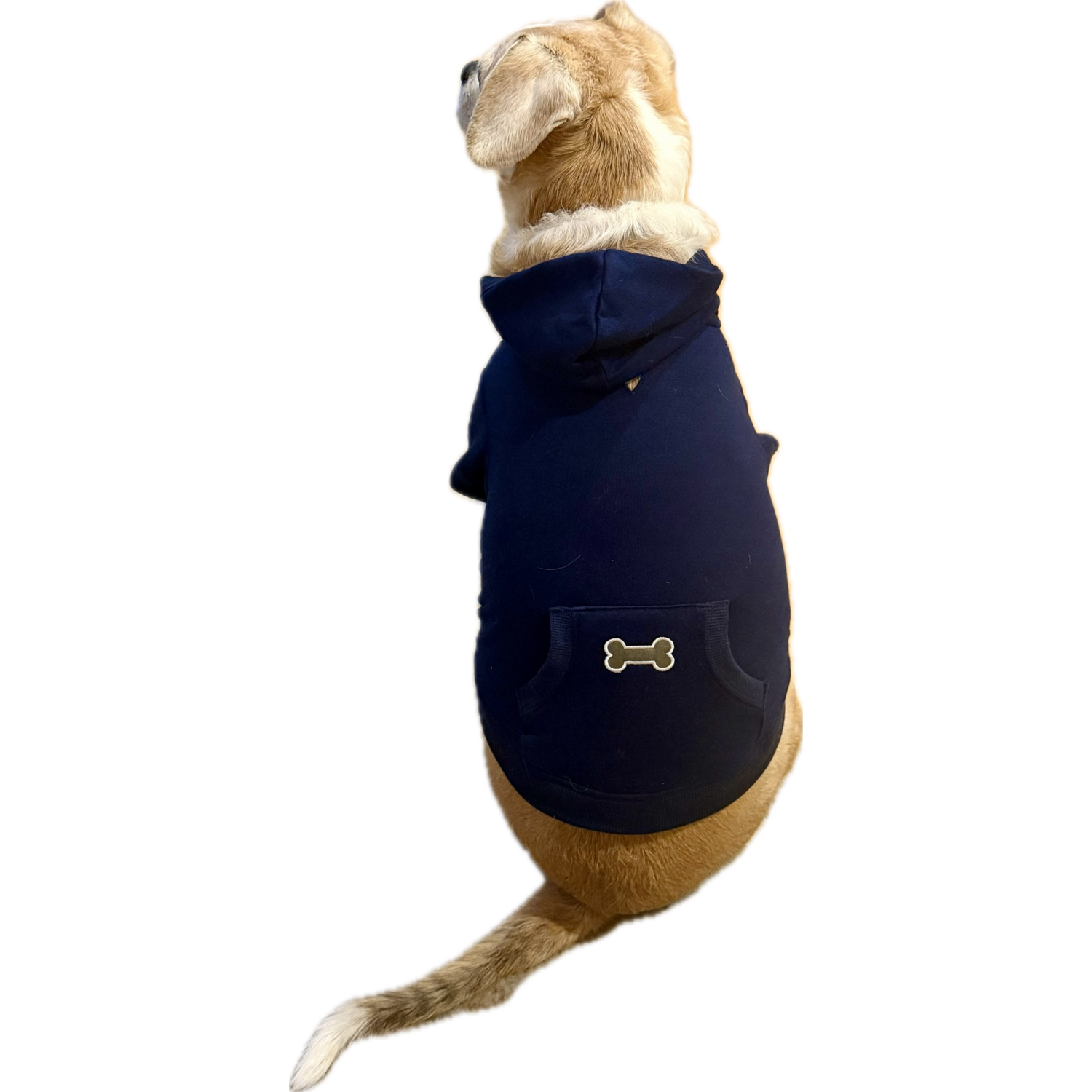 Aristopet Blue Kanga Pocket Dog Hoodie, Extra Large
