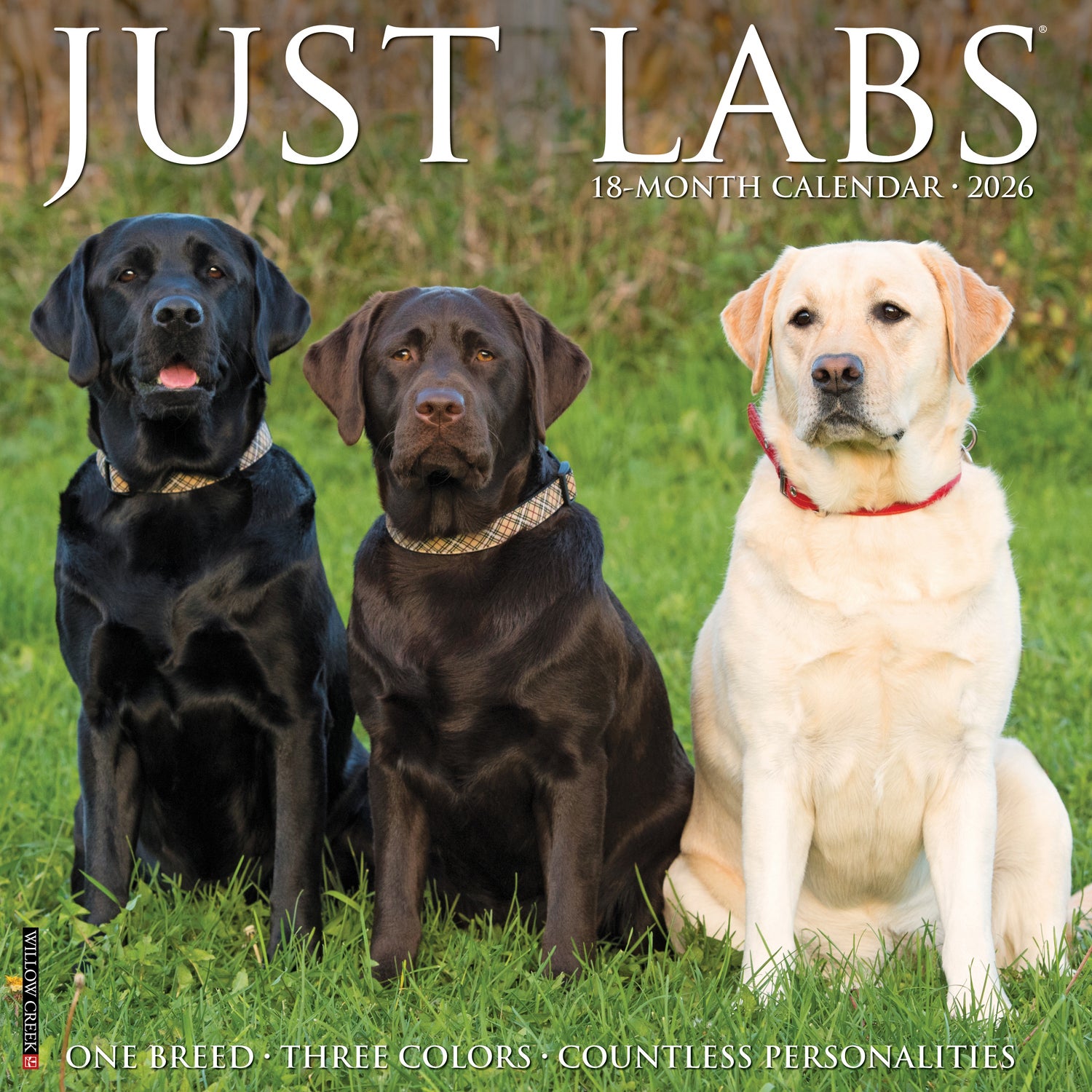 Willow Creek Press 2026 Labs Wall Calendar