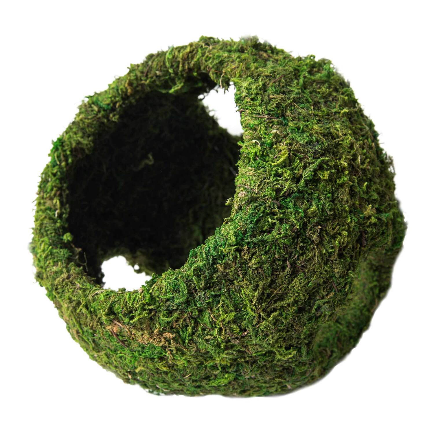Galápagos Mossy Cave With Holes, Green, 8In Diameter