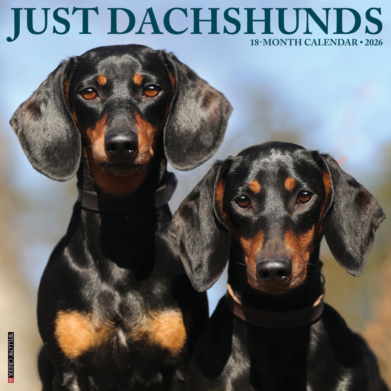 Willow Creek Press 2026 Dachshunds Wall Calendar