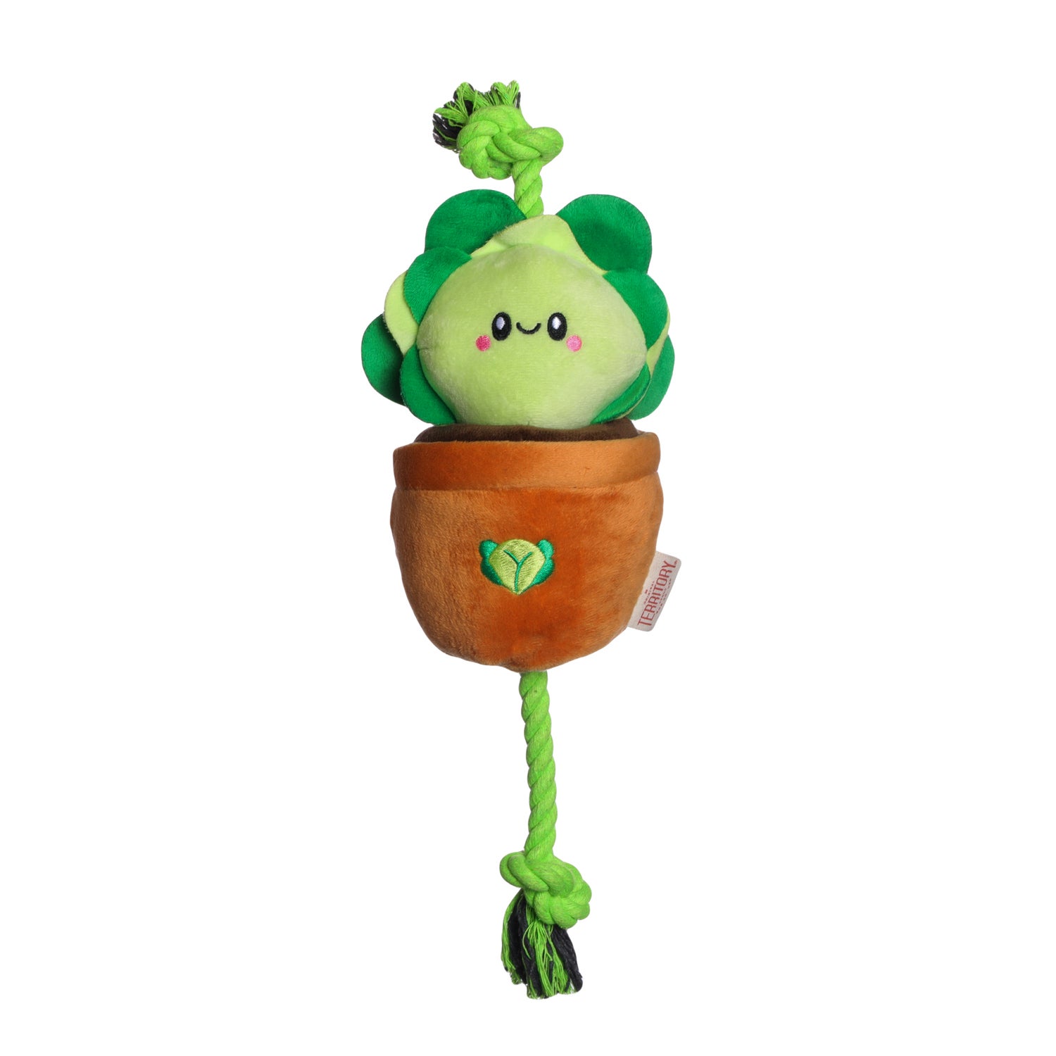 Territory Lettuce Treat-And-Tug Dog Toy, 15