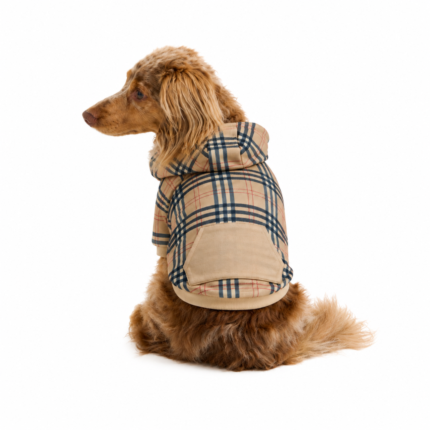 Aristopet Plaid Print Light French Terry Dog Hoodie, Extra Large