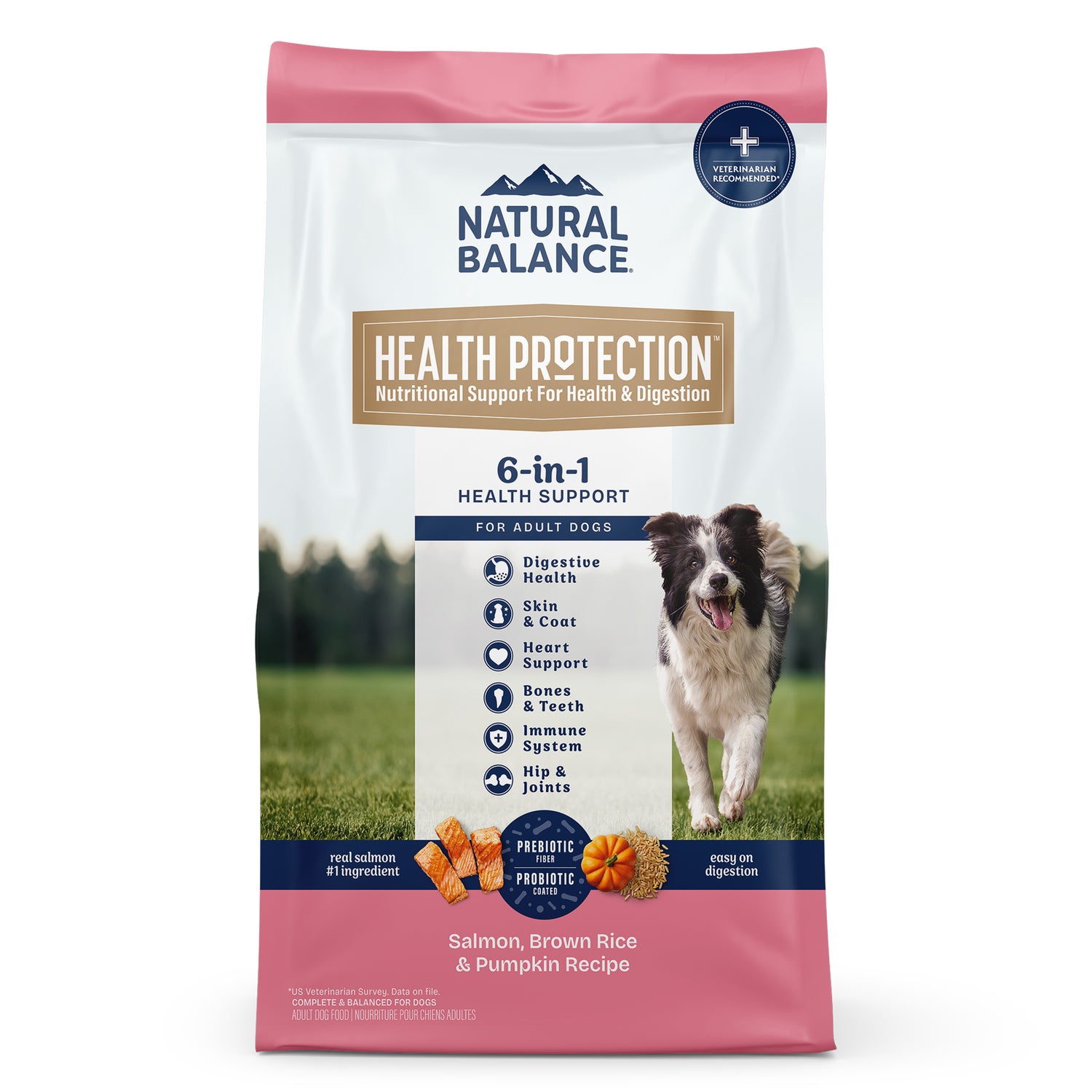 Natural Balance Health Protection Dry Dog Food, Salmon, Brown Rice & Pumpkin Recipe, 22 Lbs.