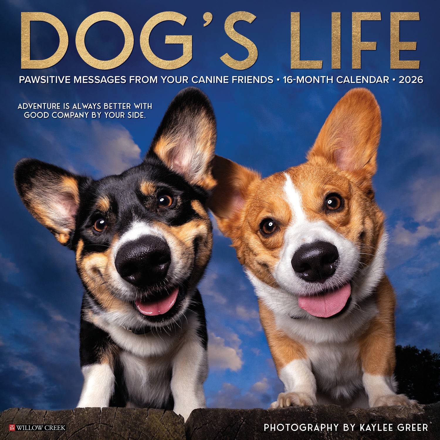 Willow Creek Press 2026 Dog's Life Wall Calendar
