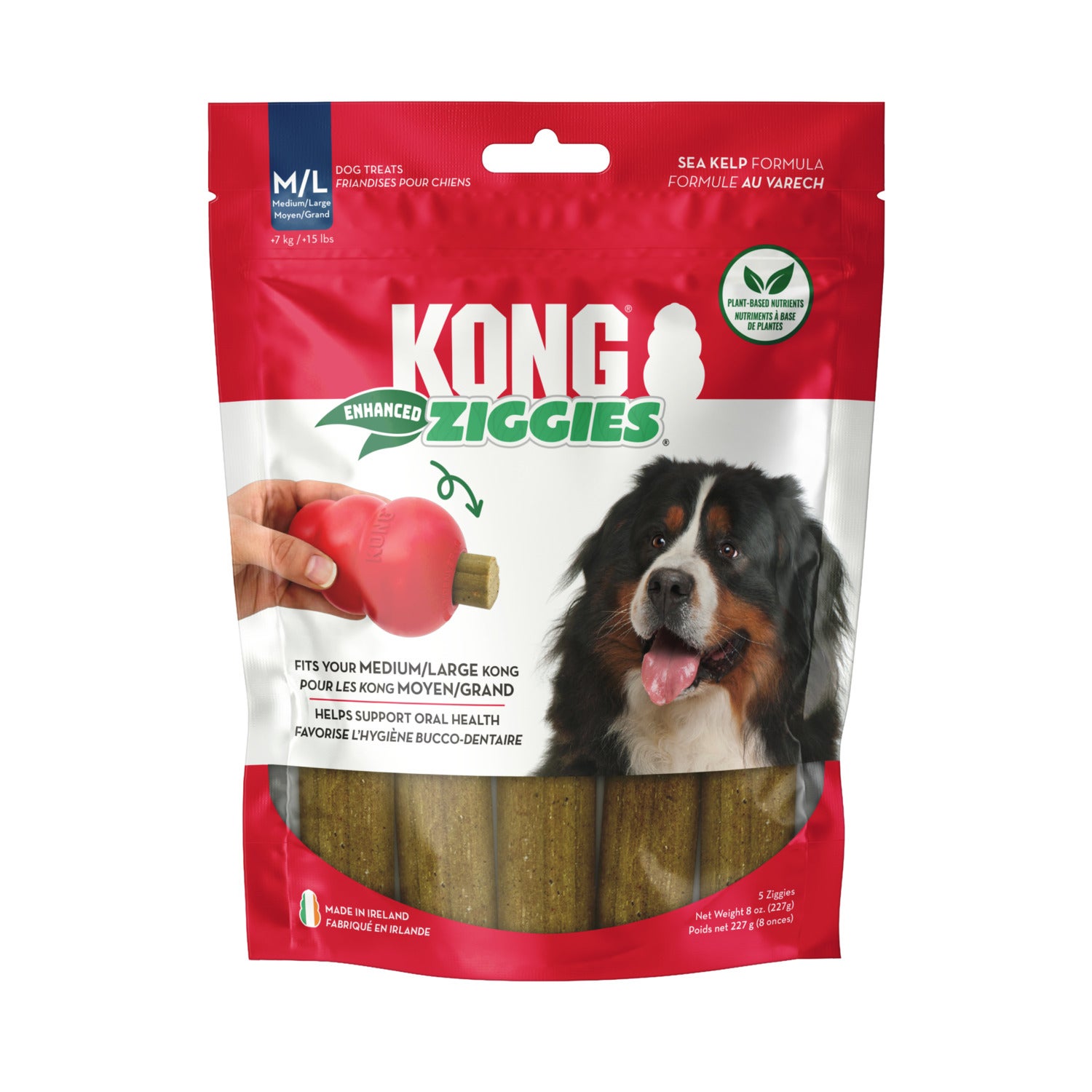 Kong Ziggies Dental Health Medium/Large Sized Dog Treats