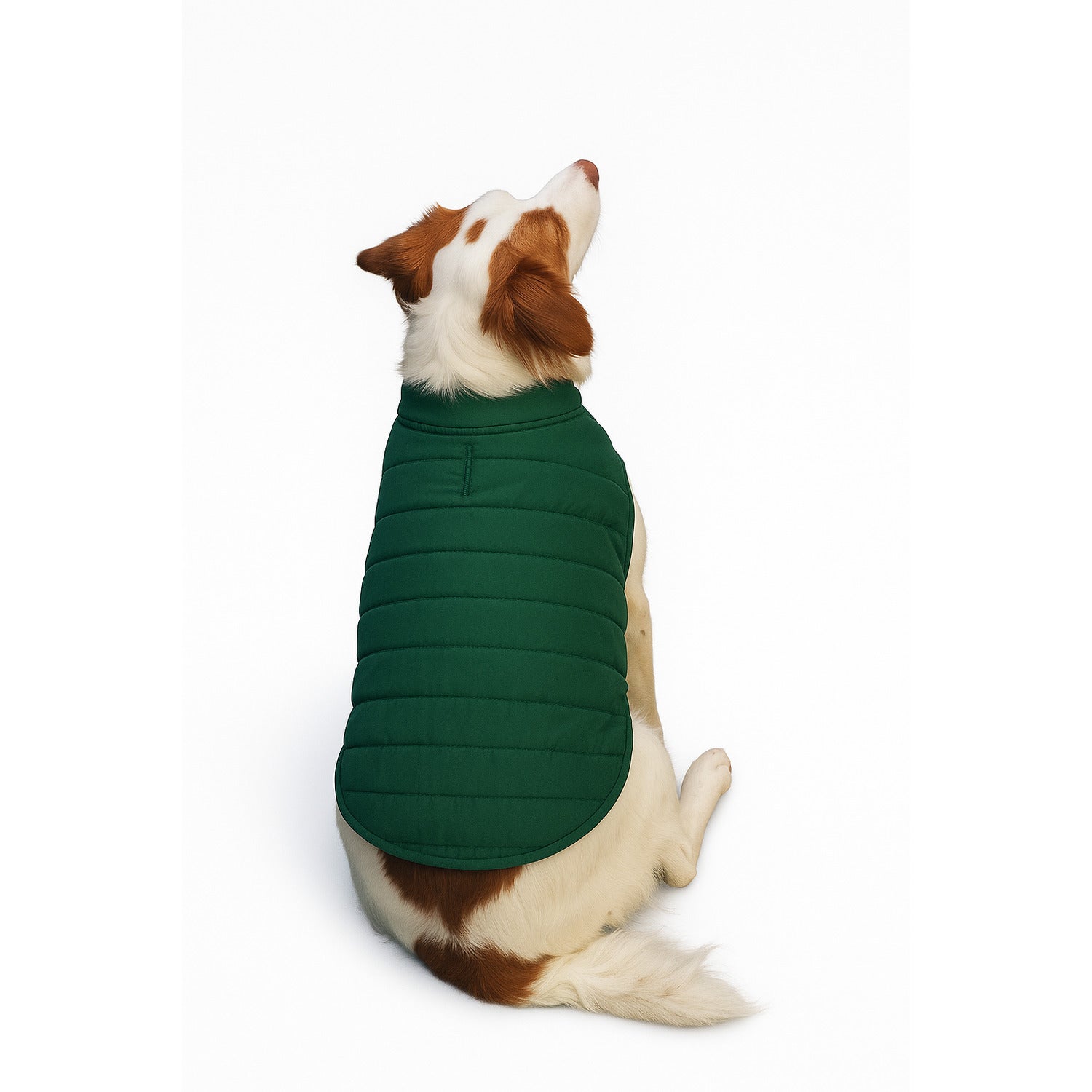 Simply Dog Green Quilted Dog Jacket, Large