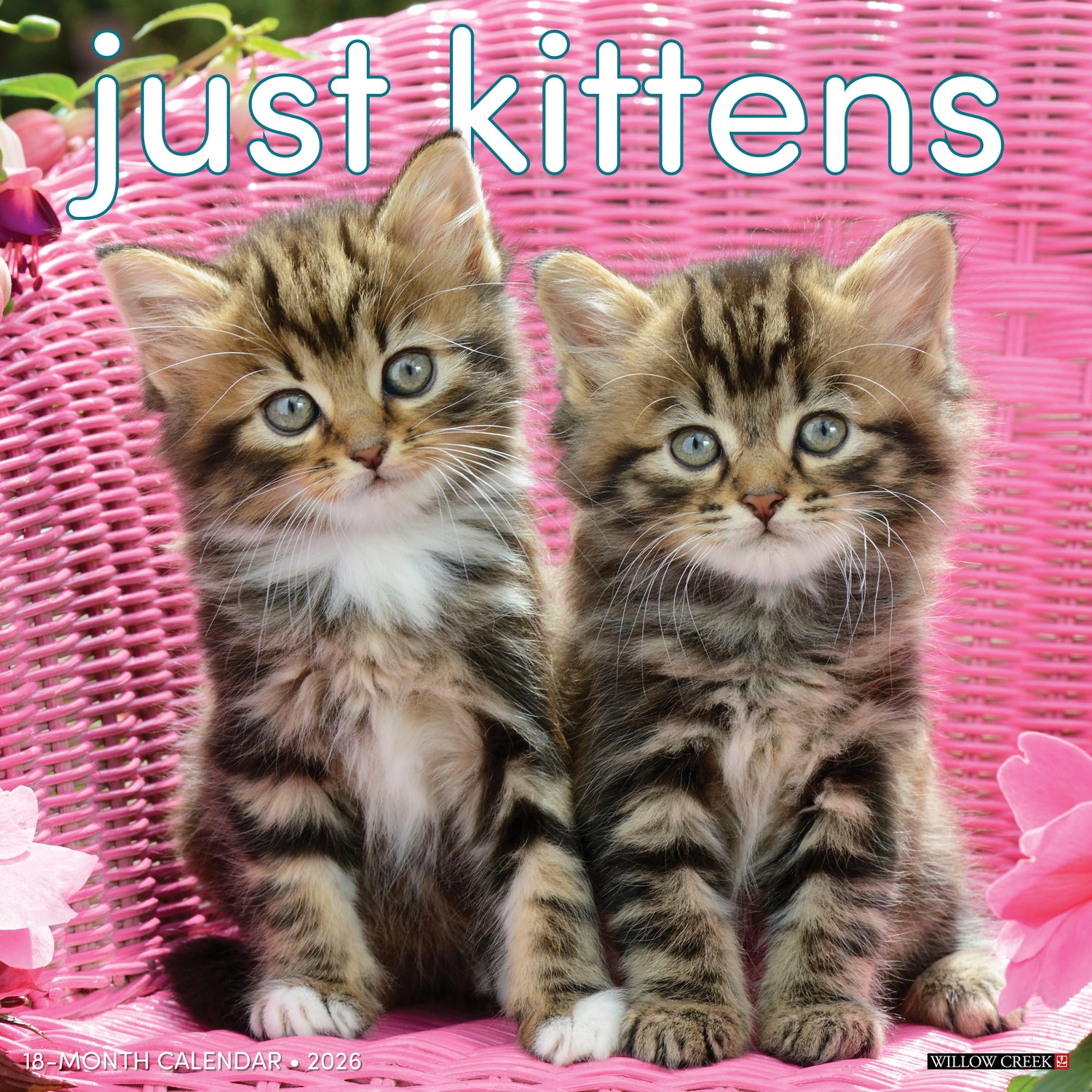 Willow Creek Press 2026 Kittens Wall Calendar