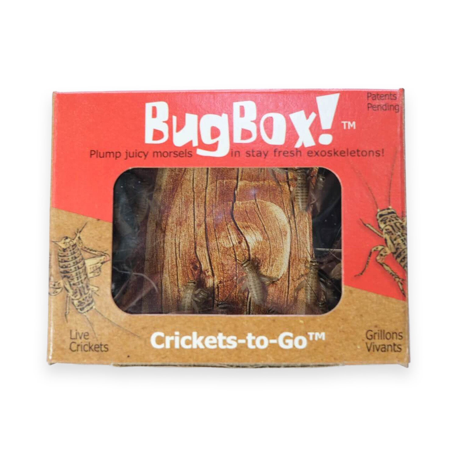 Pet Supermarket Live Bug Box - Small Crickets