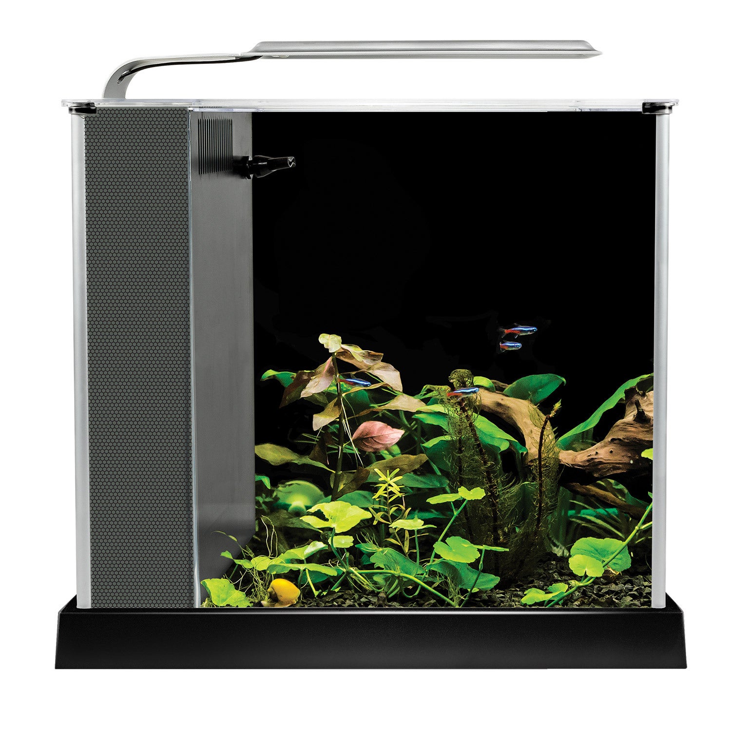 Fluval Spec Iii Desktop Aquarium Kit 2.6 Gal - Black