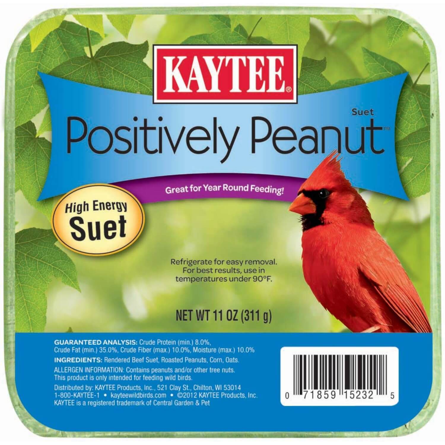 Kaytee Positively Peanut High Energy Mini Suet For Wildbirds, 11 Oz