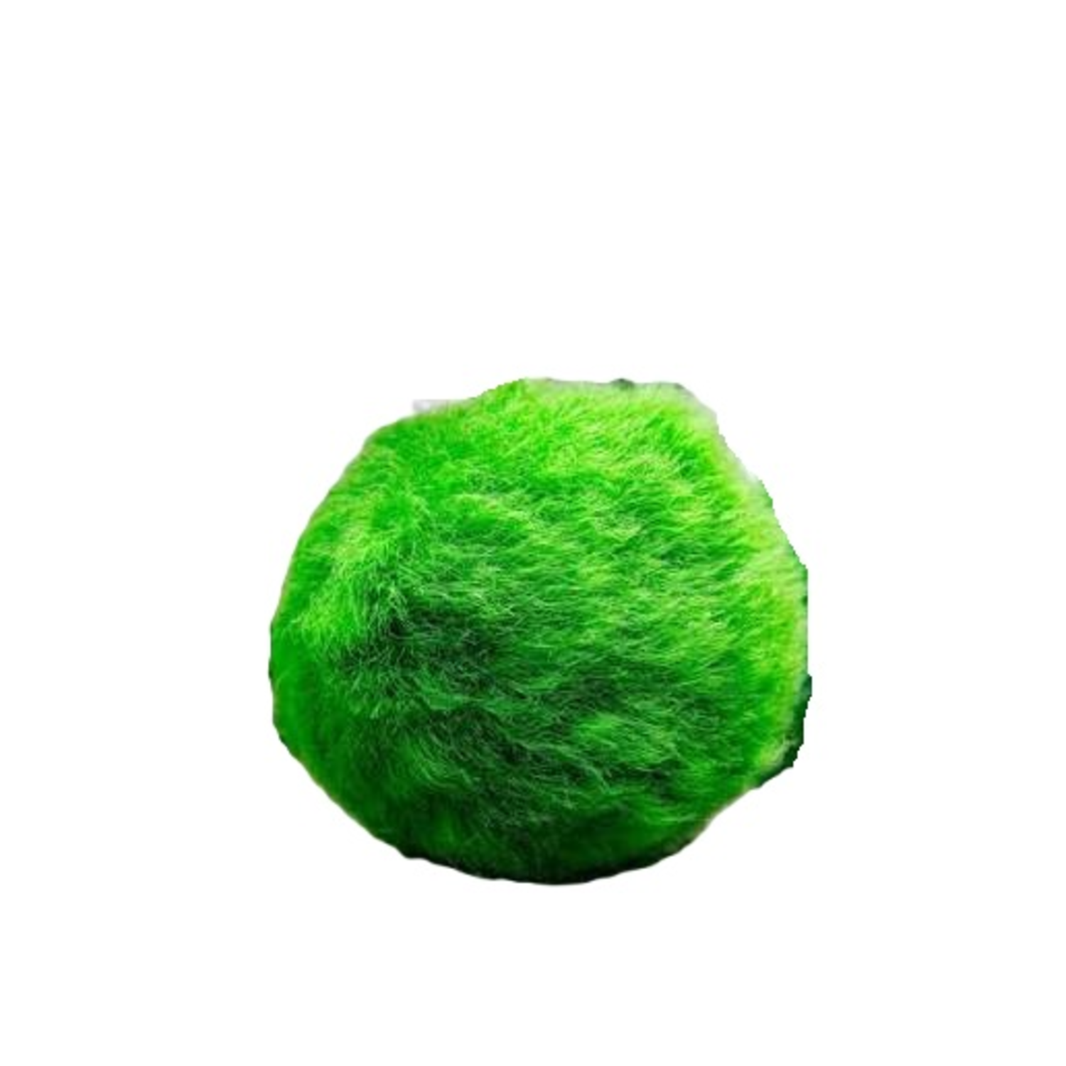 Moss Balls - Large