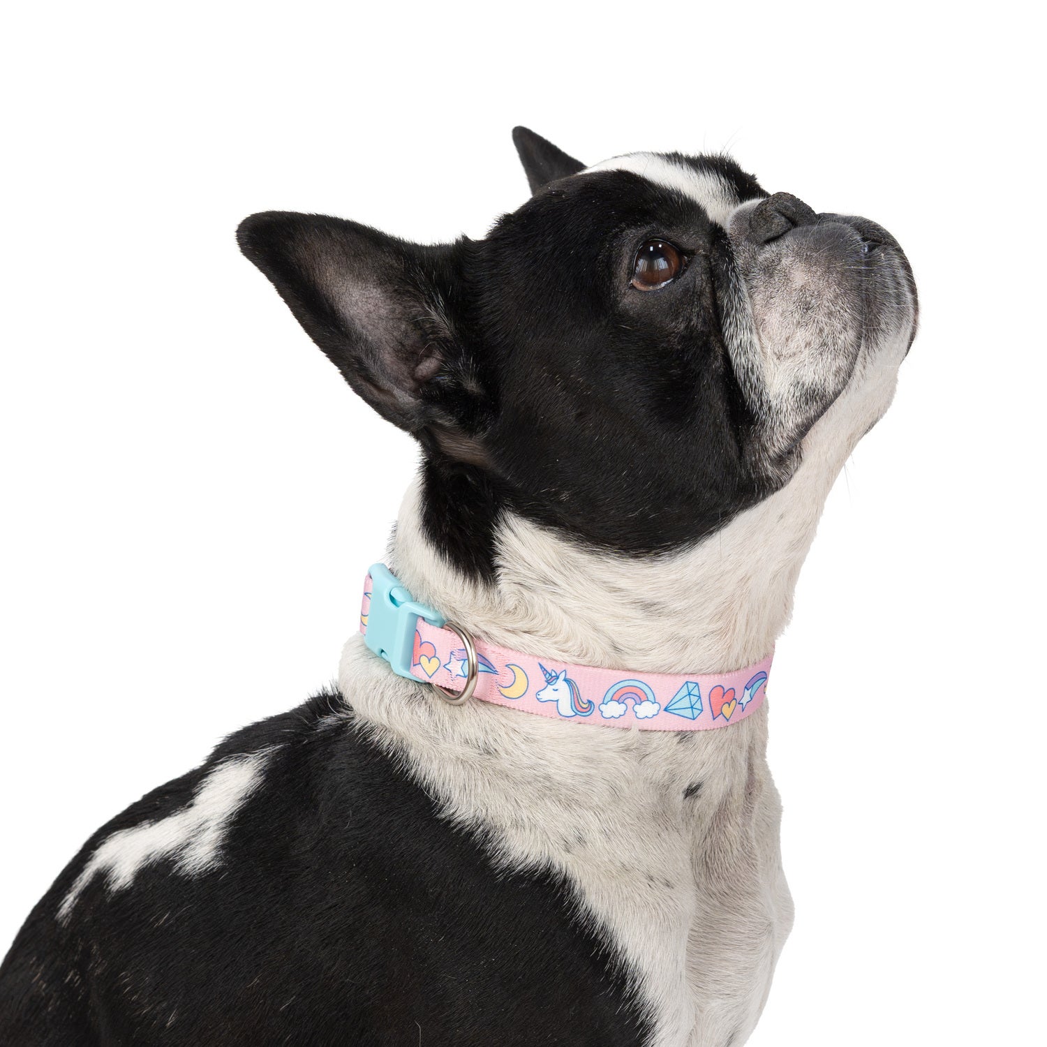 Simply Dog Rainbow & Unicorns Dog Collar, Pink