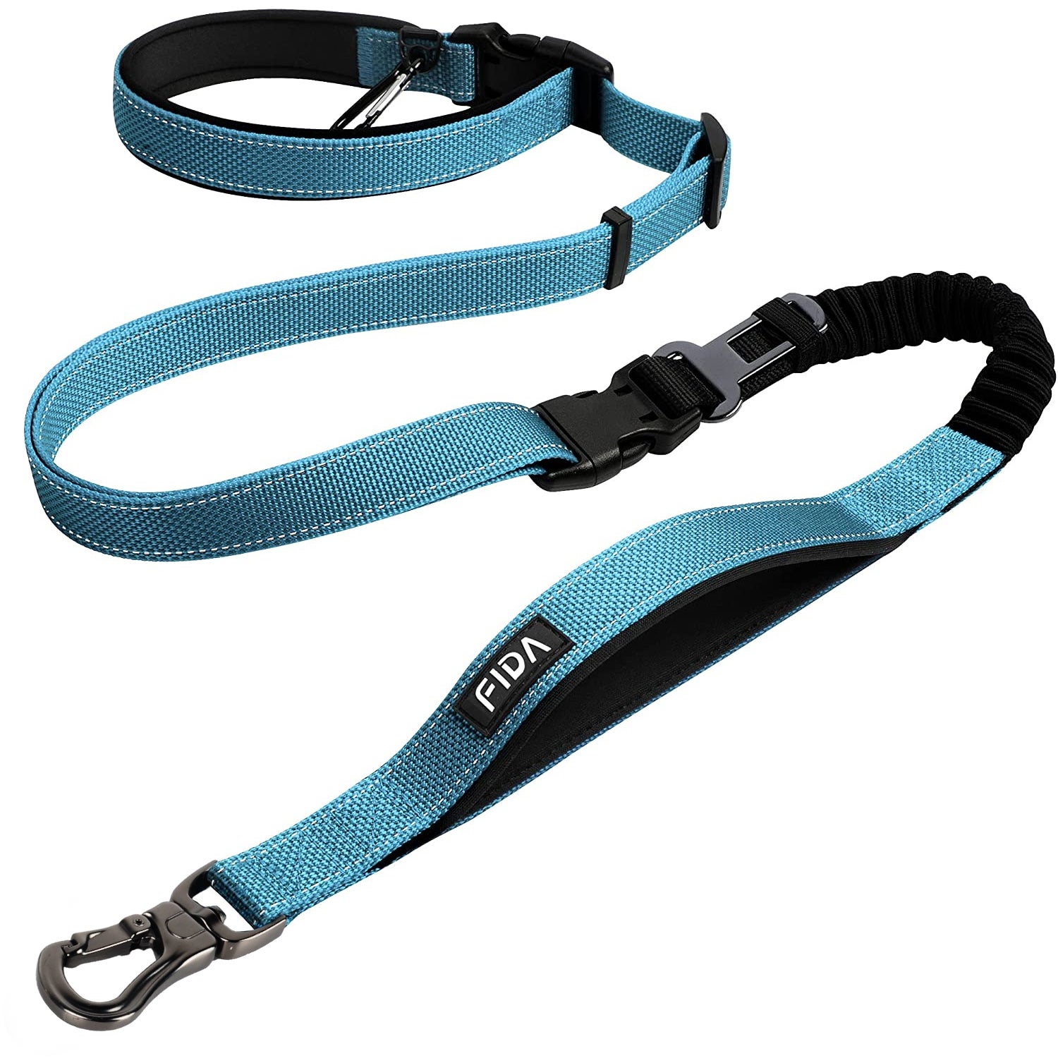 Fida Pet 6-In-1 Feature Dog Leash, Blue