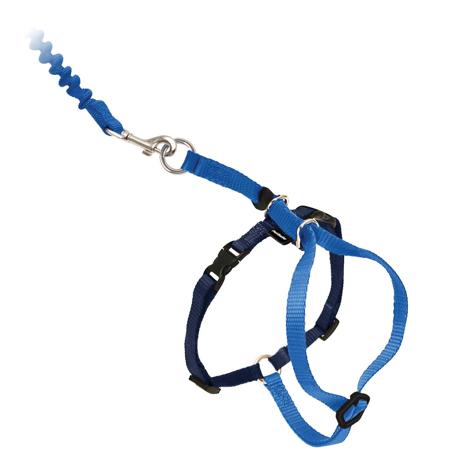 Petsafe Come With Me Kitty™ Cat Harness And Bungee Leash, Blue