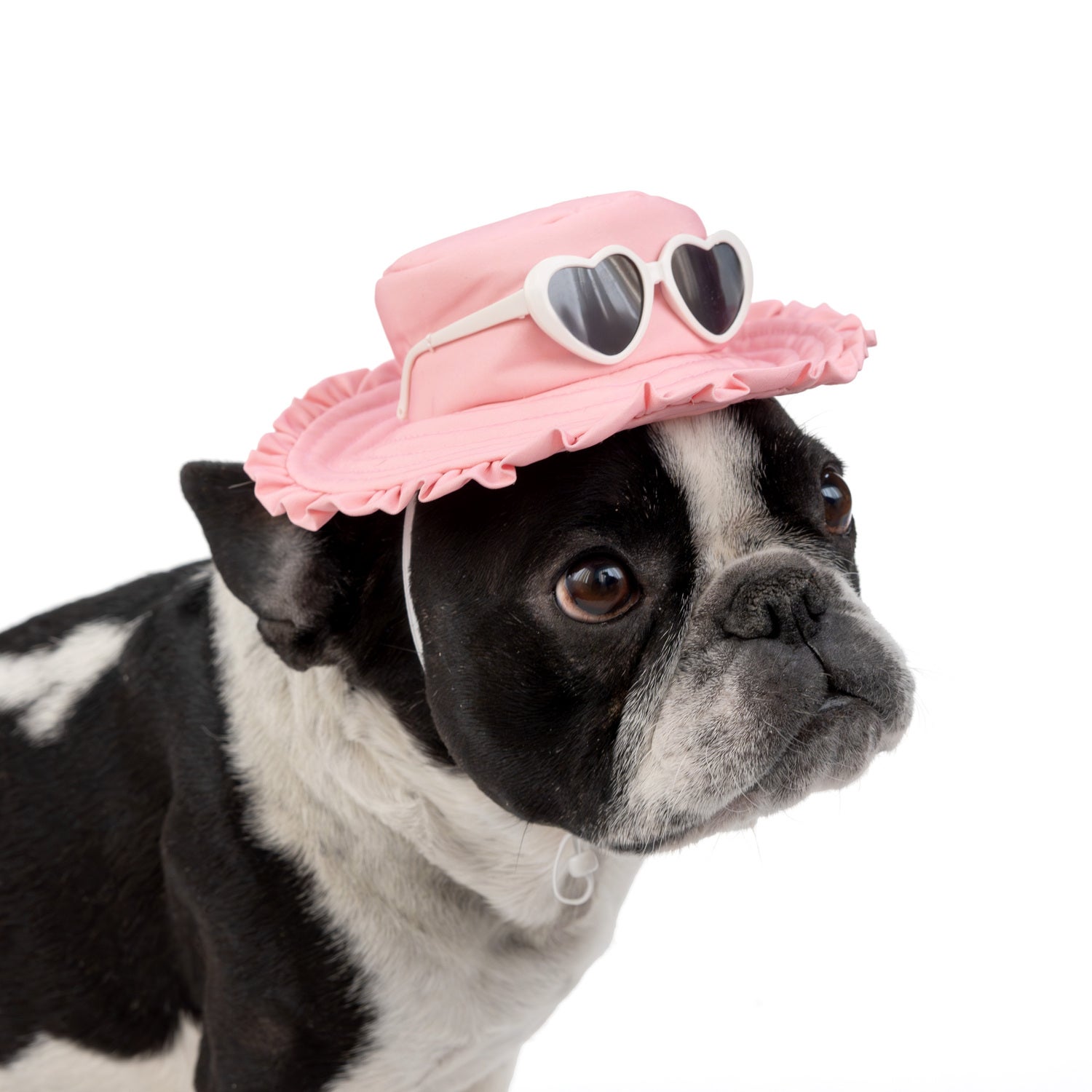 Simply Dog Pink Heart Sunglasses Ruffle Brim Dog Hat, Medium/Large