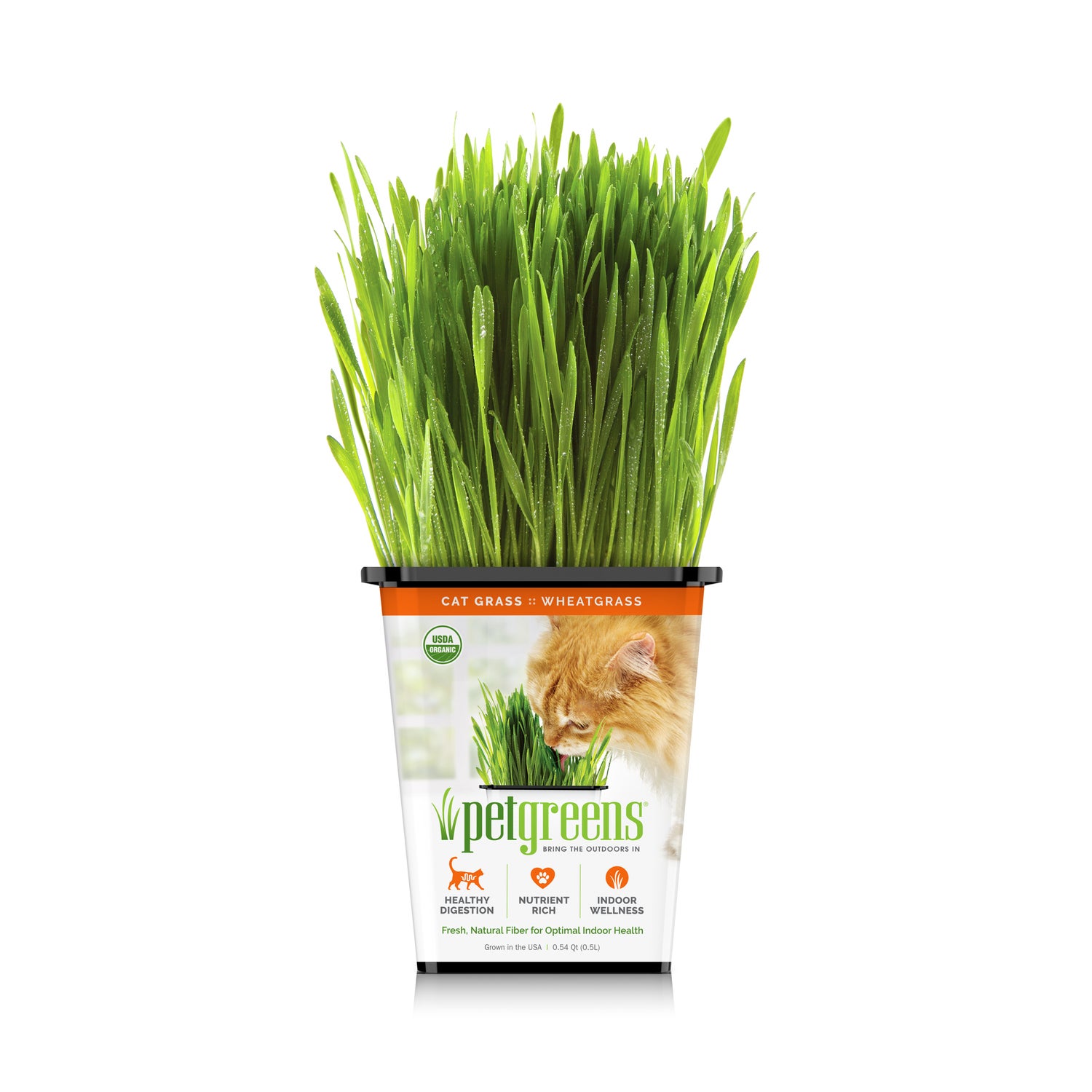 Pet Greens Live Cat Grass Natural Cat Treat