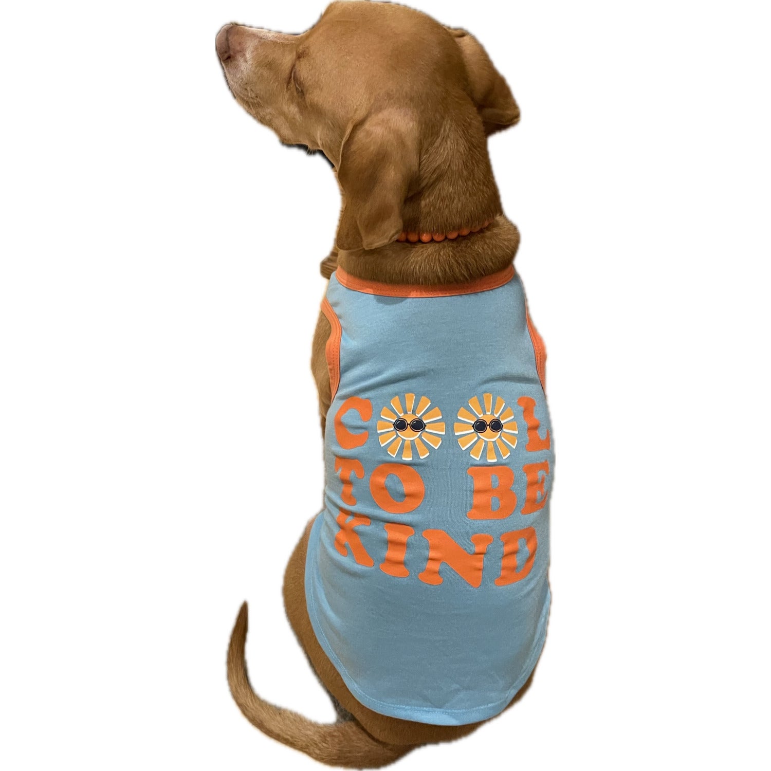 Simply Dog Cool To Be Kind Dog Tank Top Shirt, Green & Orange