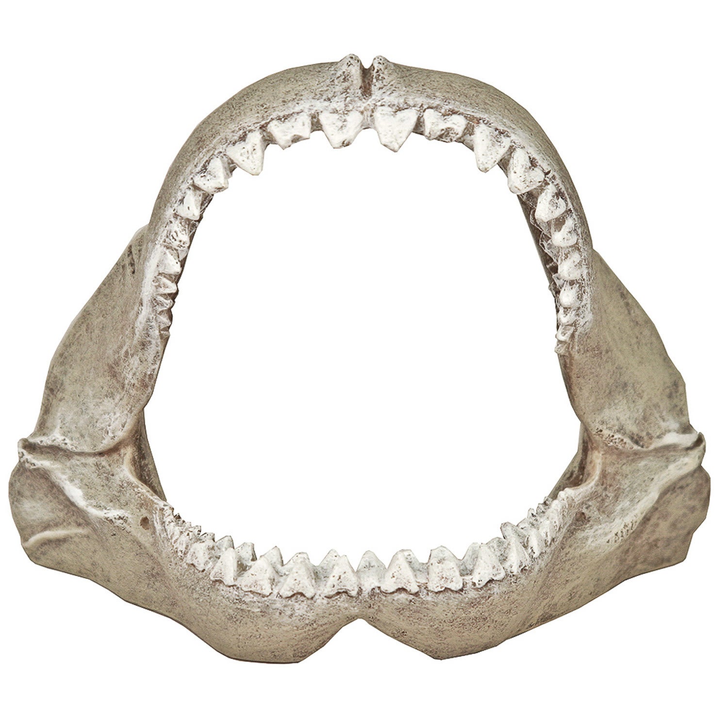 Blue Ribbon Exotic Environments Great White Shark Jaws - Small Aquarium Ornament 5.5