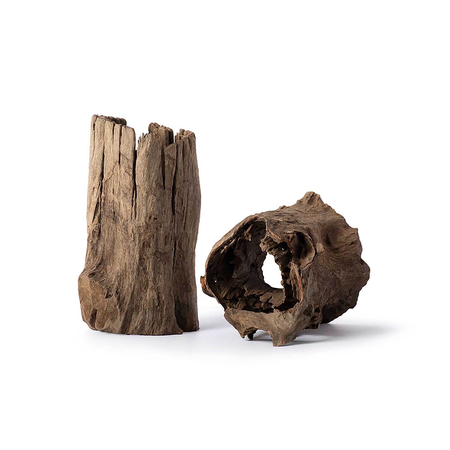 Galápagos Hollow Log, Eucalyptus Root Aquarium & Terrarium Decor, Natural, 6-8In