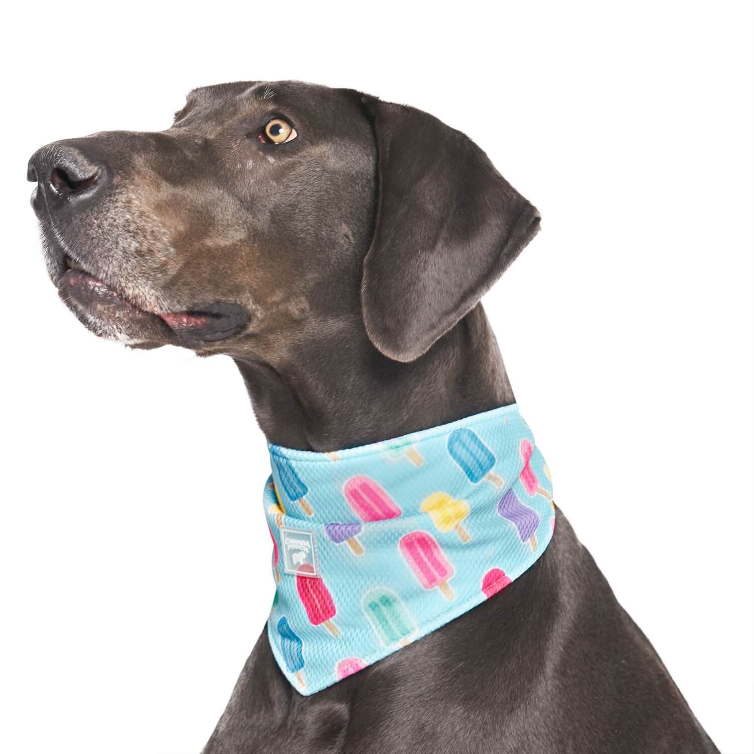 Canada Pooch Cooling Dog Bandana - Popsicles- Large