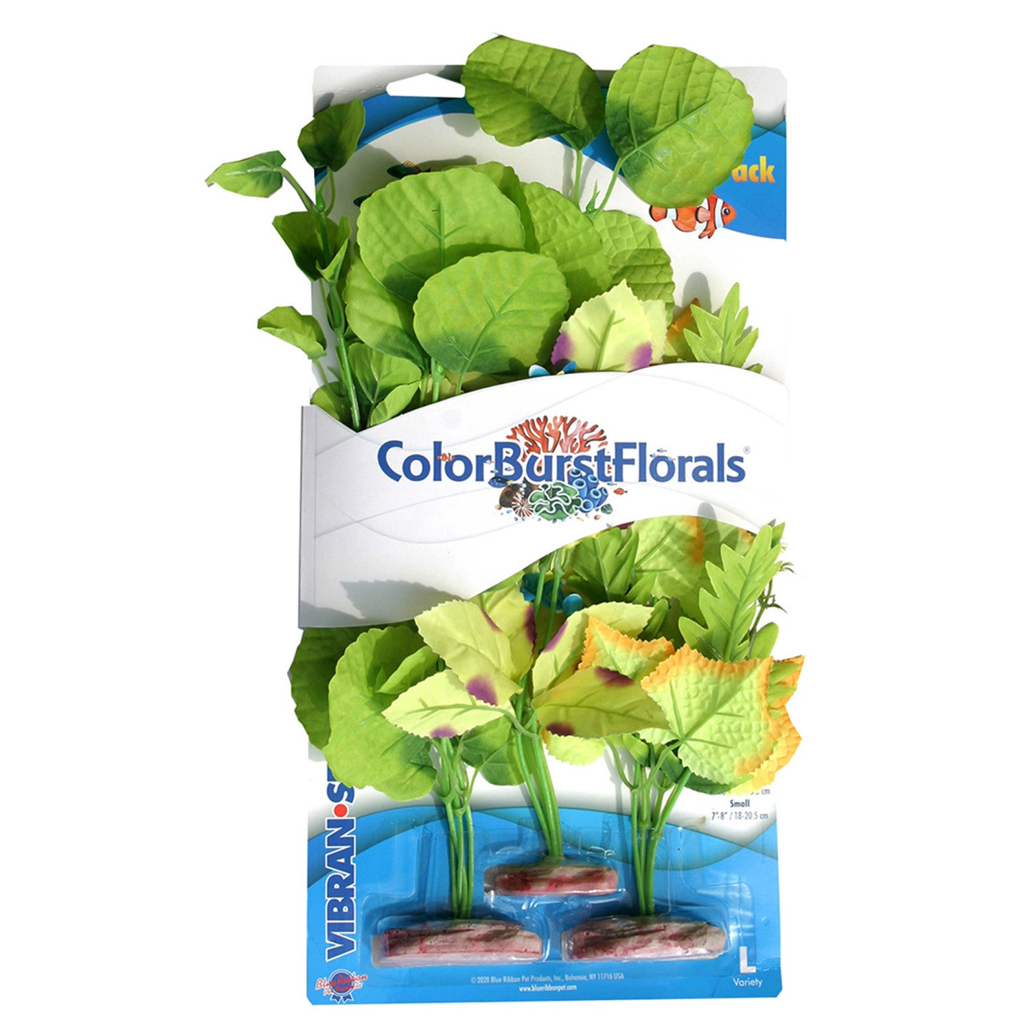 Blue Ribbon Color Burst Florals Broad Leaf Flowering 3Pk Aquarium Plant
