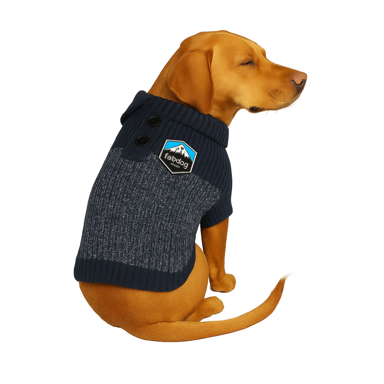 Fabdog Bluearled Henley Dog Sweater, Small