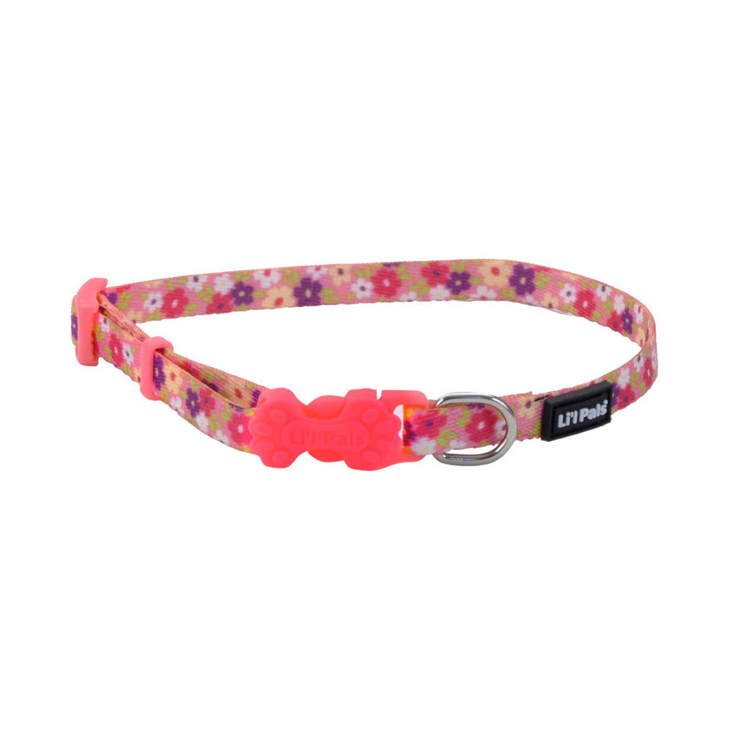 Coastal Pet Products Li'l Pals Adjustable Patterned Dog Collar, Daisy, 3/8X8-12
