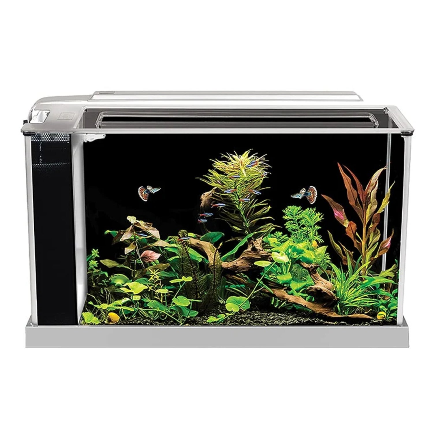 Fluval Spec Desktop Fish Aquarium Kit, 5 Gallon - Black
